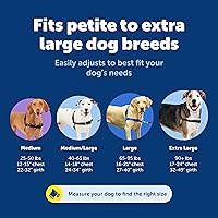 Vista 7 de Arnés de paseo fácil de PetSafe, Petite, Negro/Plateado