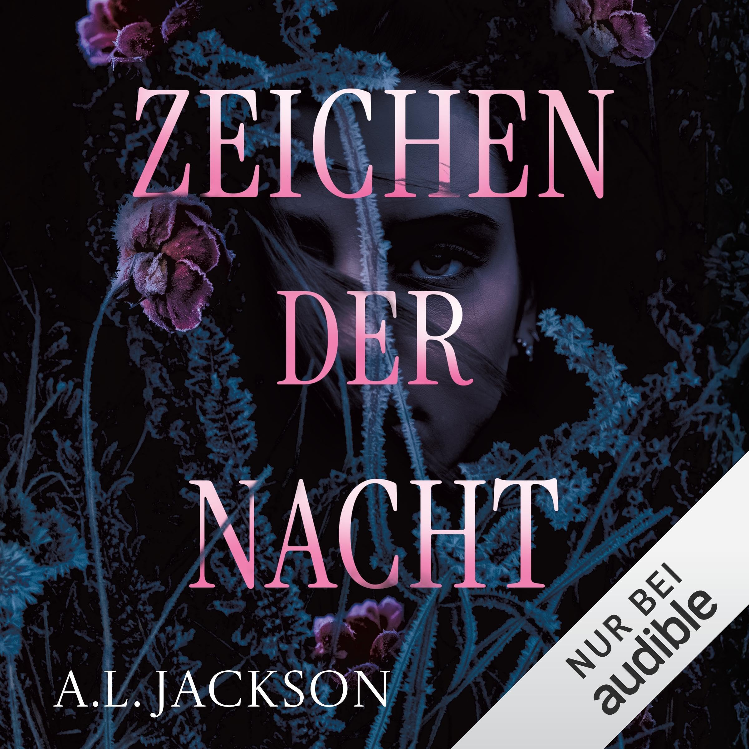 Cover art for Zeichen der Nacht