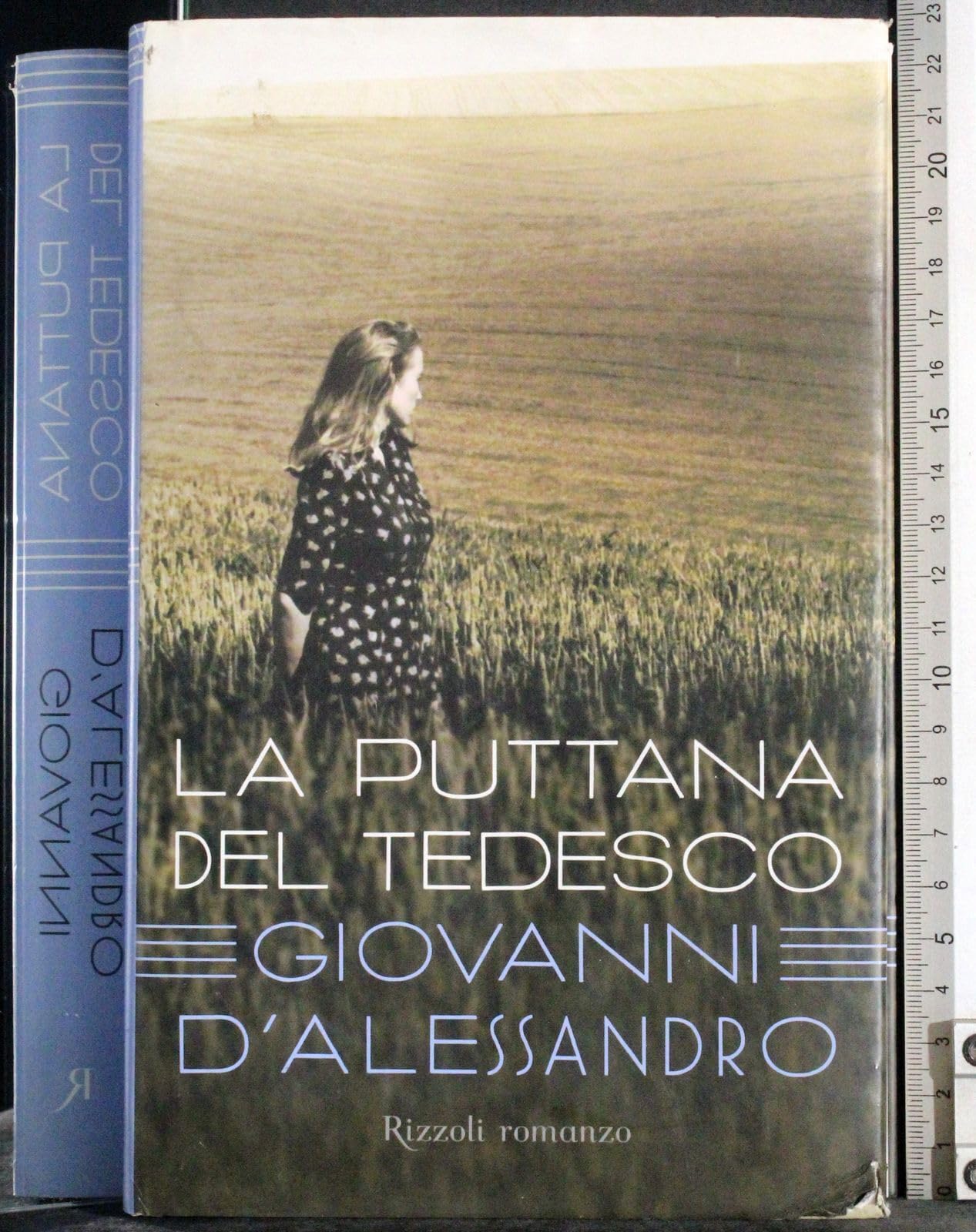 La puttana del tedesco