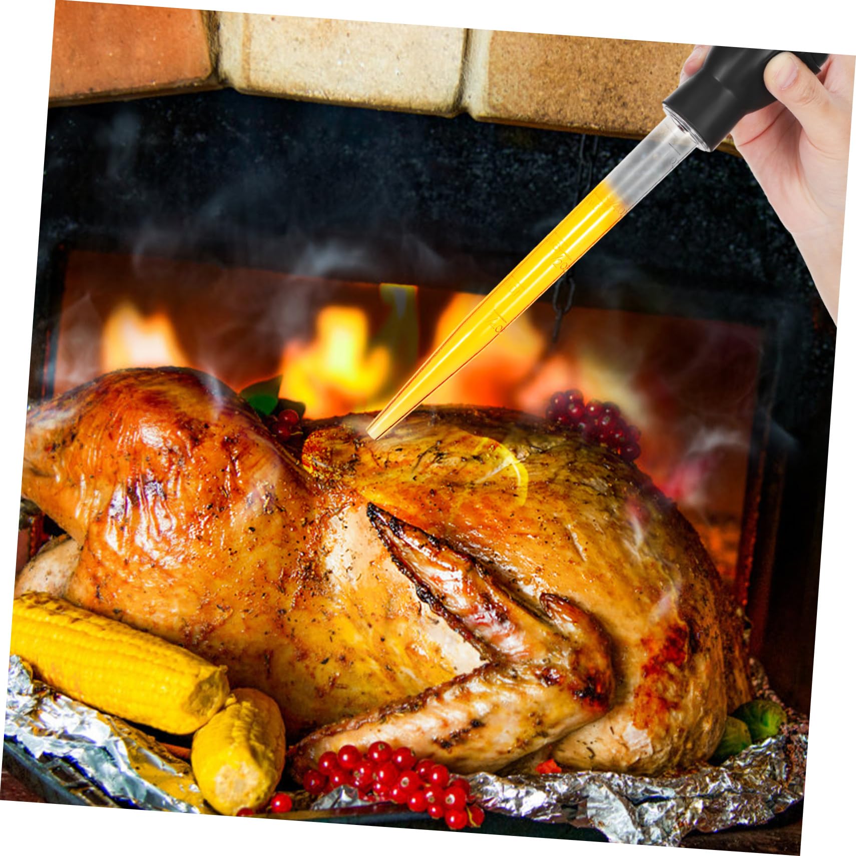 STOBAZA 1 Set Turkey Baster Kit with Brush Seasoning Pump for Precise Marinade Application Compact Outdoor Cooking Tool for Grilling and Picnics Sturdy Pe and Design
