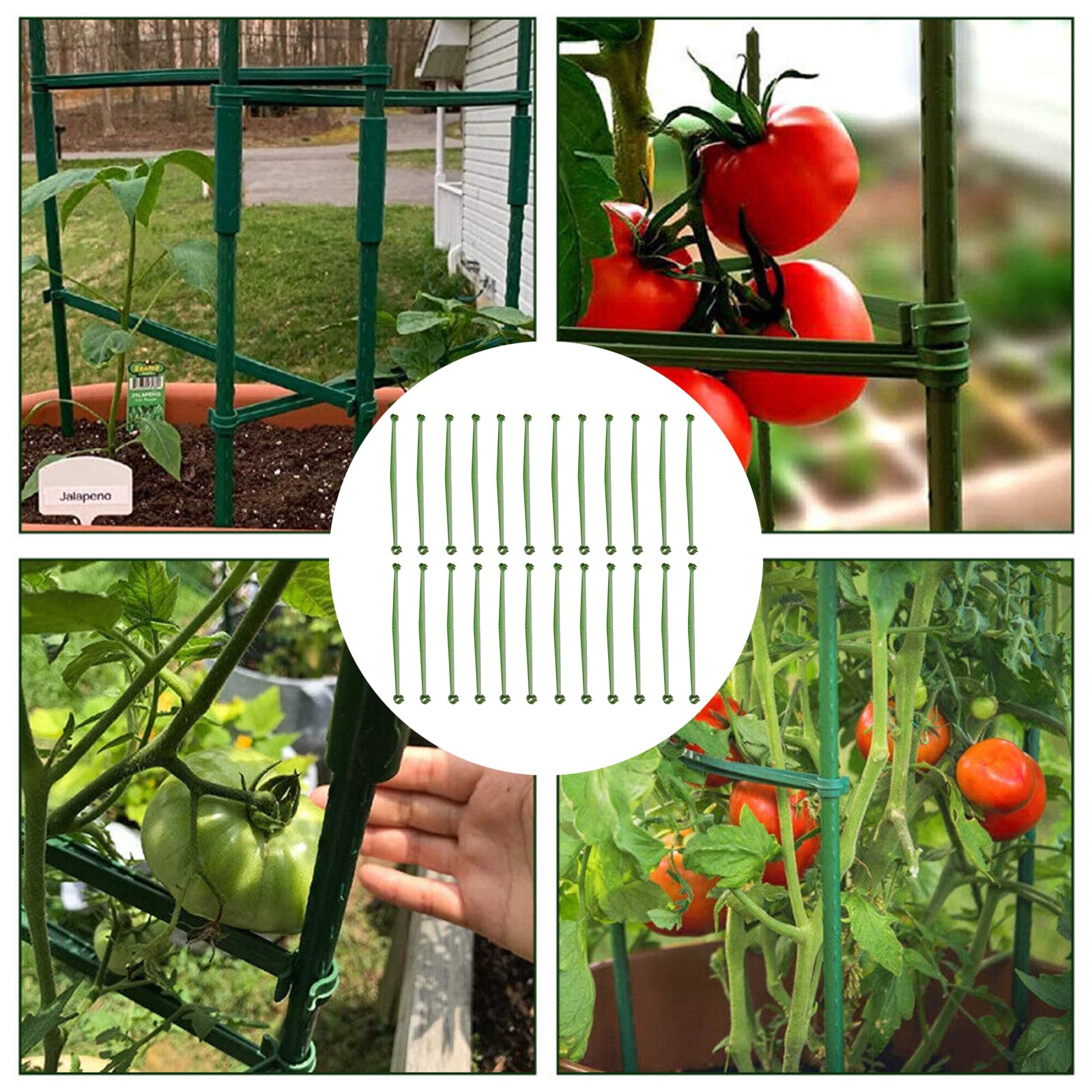 Bastoncini Sostegno Piante Windhager - 20 Pezzi, 150cm, Acciaio Rivestito, Verde