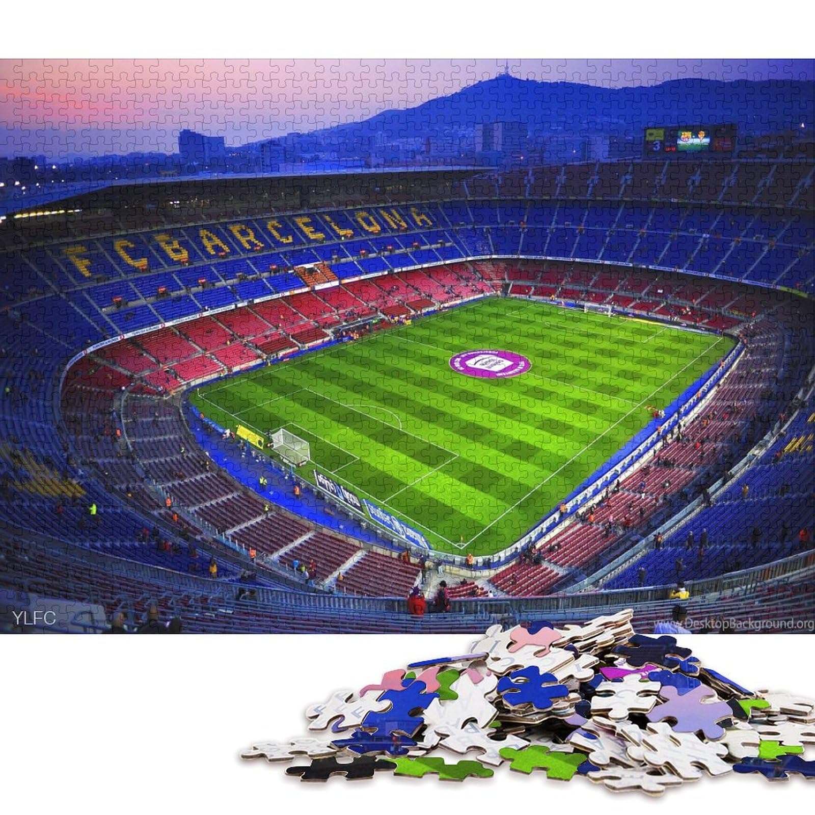 View 8
