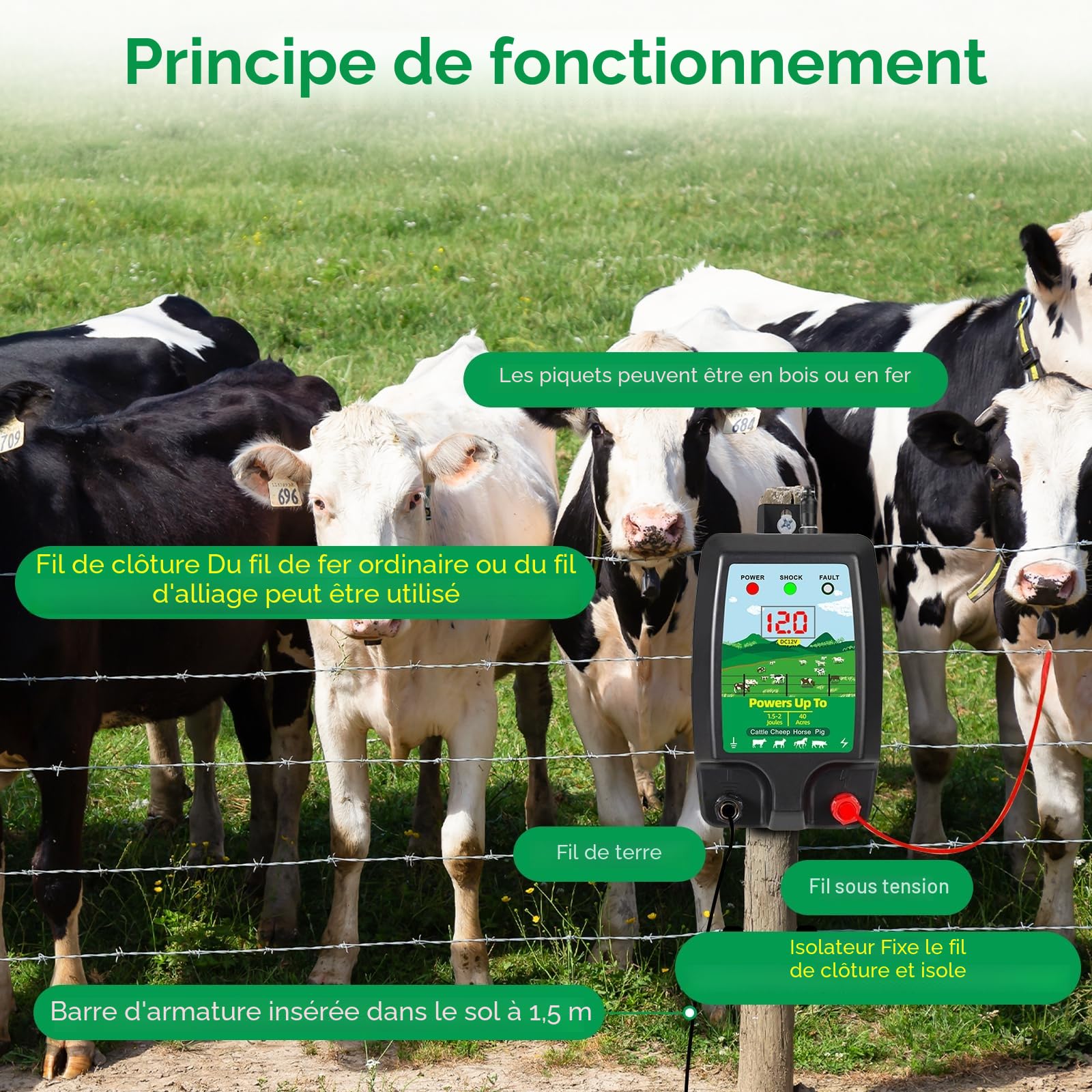 Dispositif de clôture électrique 12 V avec affichage LED, portée 15 km, 2 Joules, 12 kV, pour la protection des animaux de ferme, de la volaille, des pâturages et des jardins (B)