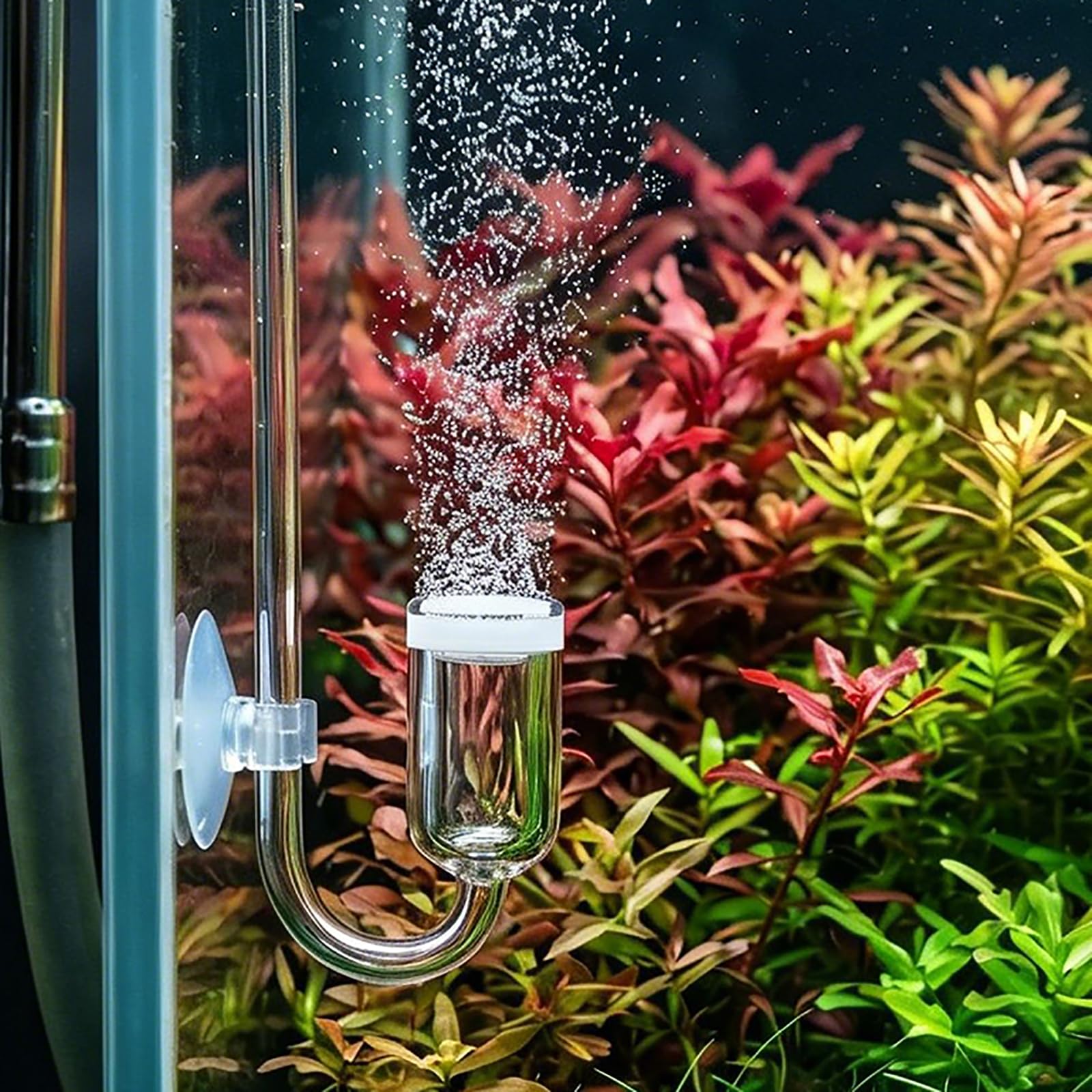 CO2 Diffuser Aquarium, Glass CO2 System for Planted Tanks 15-200 Gallons, Complete Set with Bubble Counter and Check Valve, Transparent Aquarium Accessories for Fish Tank CO2 Generation-image-35