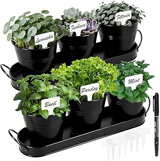 Herb Garden Planter Indoor Kit – 6 Metal Pots with 2 Trays for Windowsil...