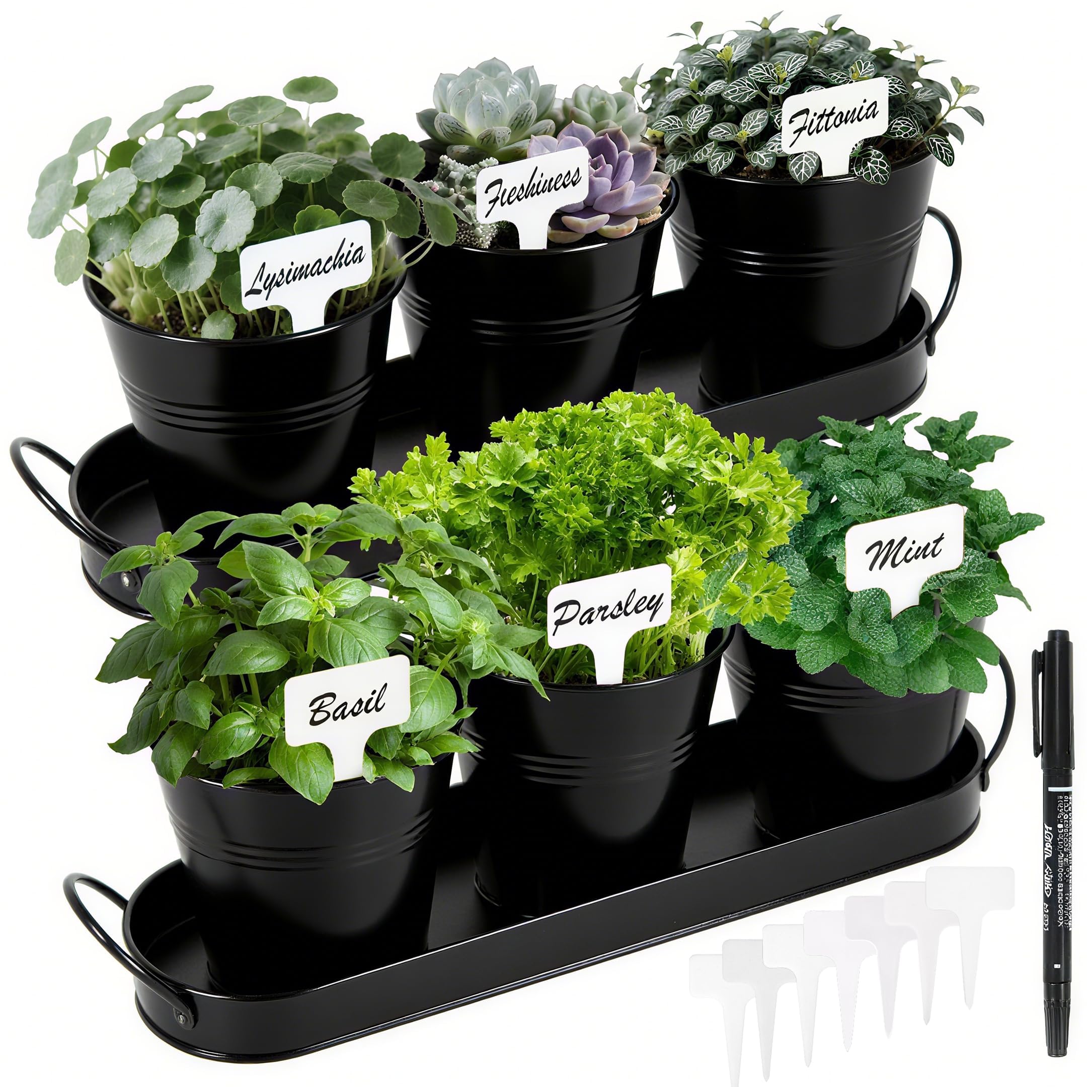 Wacloud Herb Garden Planter Indoor Kit – 6 Metal Pots with 2 Trays for Windowsill & Kitchen Counter – Modern Decorative Indoor Planters for Herbs, Succulents & Small Plants, Black