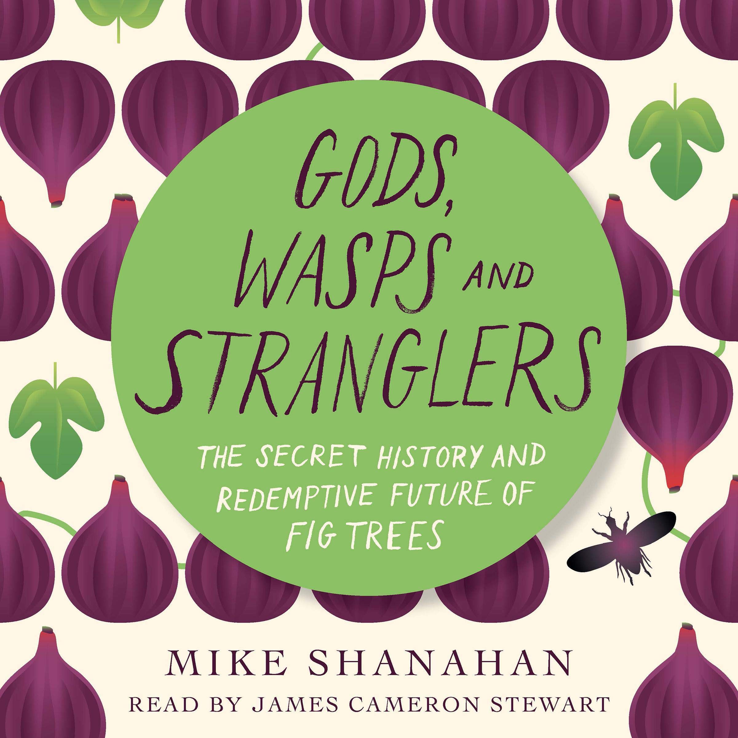 Cover art for Gods, Wasps and Stranglers