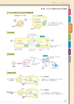 本5冊セット 病み1,3,4 微生物学超入門 液状系製剤学 イラストでわかる微生物学超入門: 病原微生物の感染のしくみ