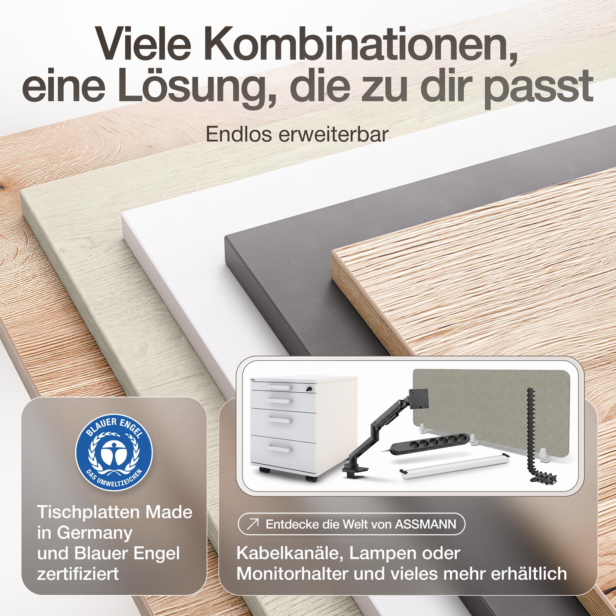 ASSMANN Höhenverstellbarer Schreibtisch elektrisch, 160x80cm, TÜV-geprüft