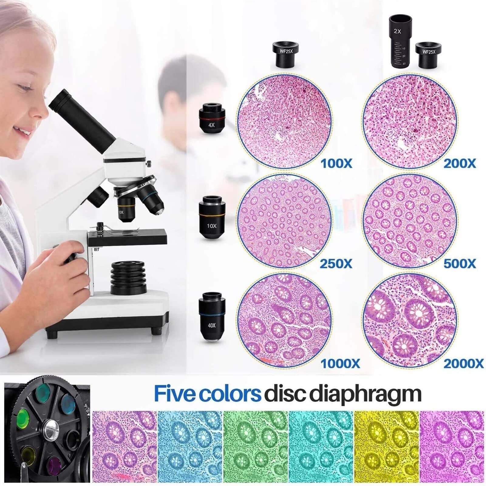 Mikroskop, 10. 0X-2000x Szkiełek mikroskopowych Set biologiczne Mikroskopy do szkoły Laboratorium główna Edukacja z karty telefonicznej