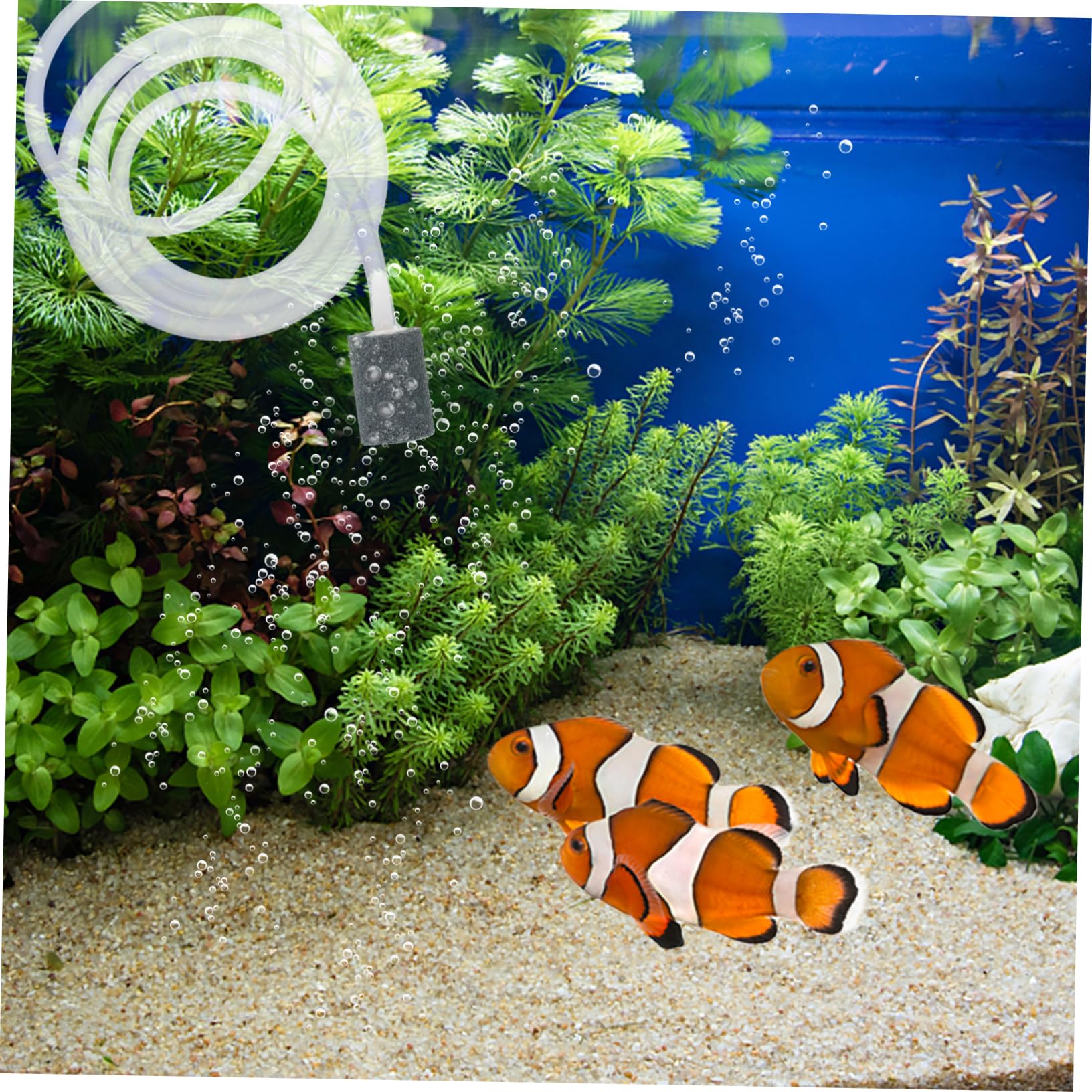 De Oxigeno USB para Acuario De Aireador De Aire USB Oxigenador De Estanque De Peces Aireador De Filtro De Tanque Mini Abdominales De Aireación