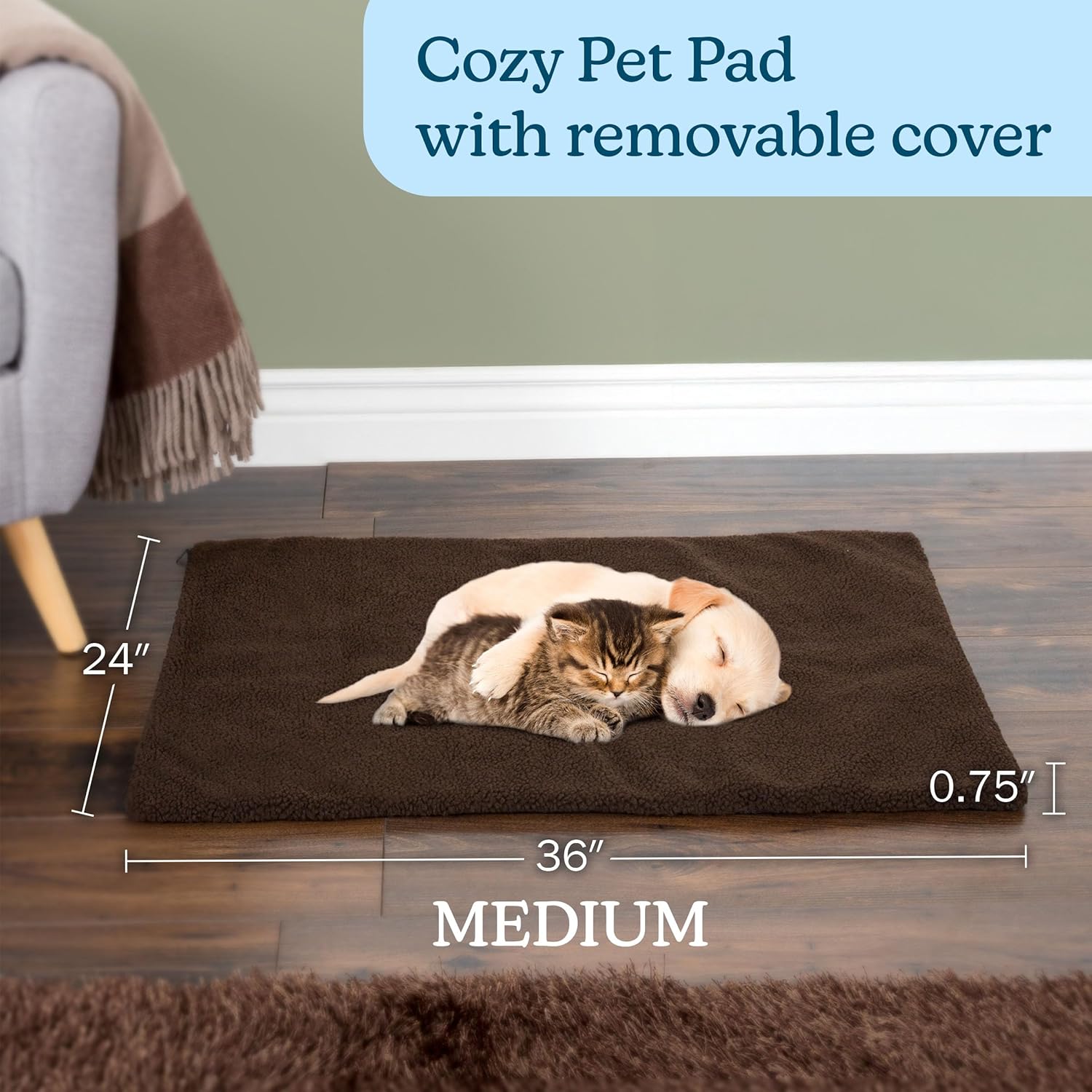 Cozy Comfort: Review of the Self Warming Cat Mat by PETMAKER