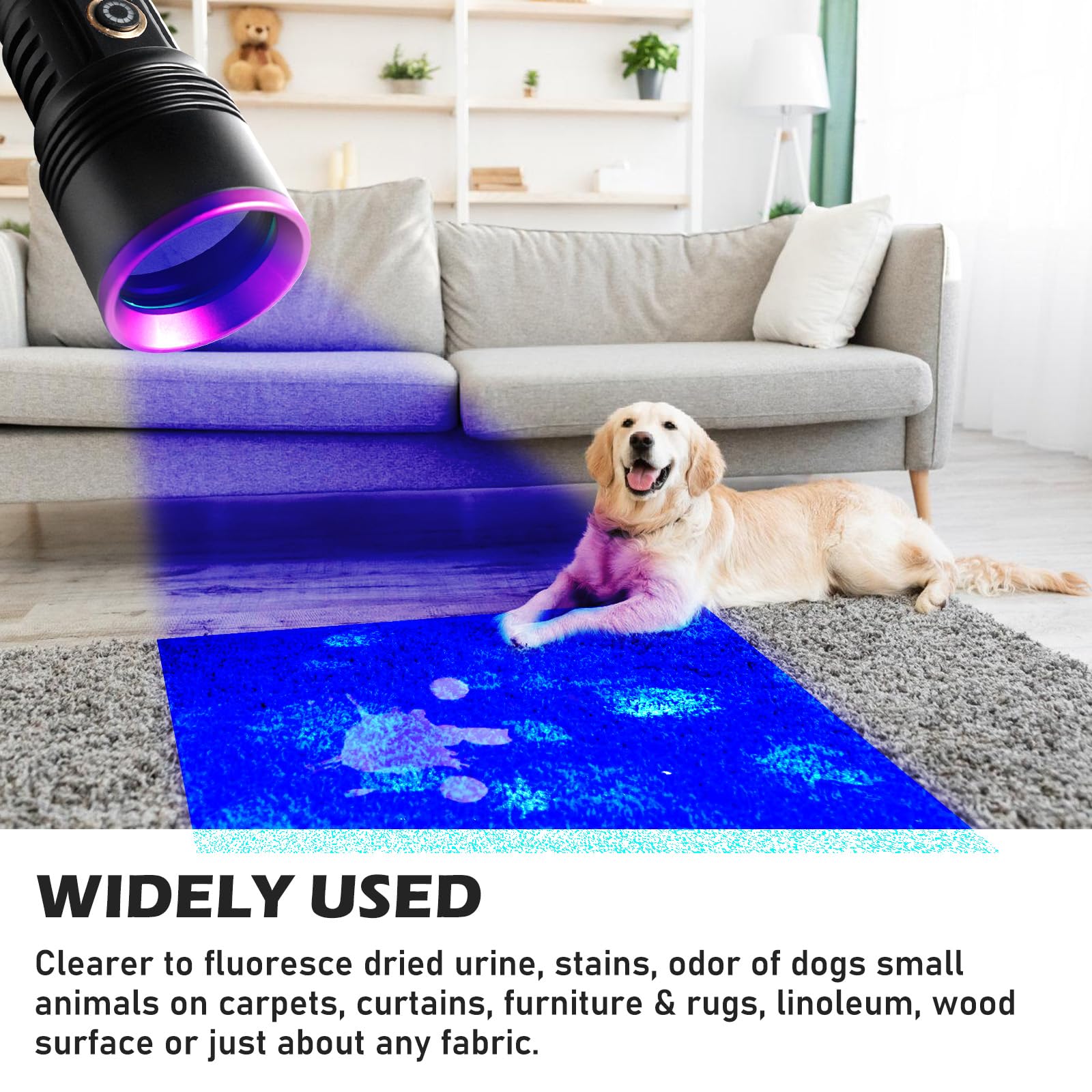SUNOYA UV Taschenlampe 365nm 20W – Schwarzlicht Taschenlampe USB Wiederaufladbar, UV Lampe für Bernstein, Haustierurin, Epoxidharz, Mineralien, Fleckenerkennung