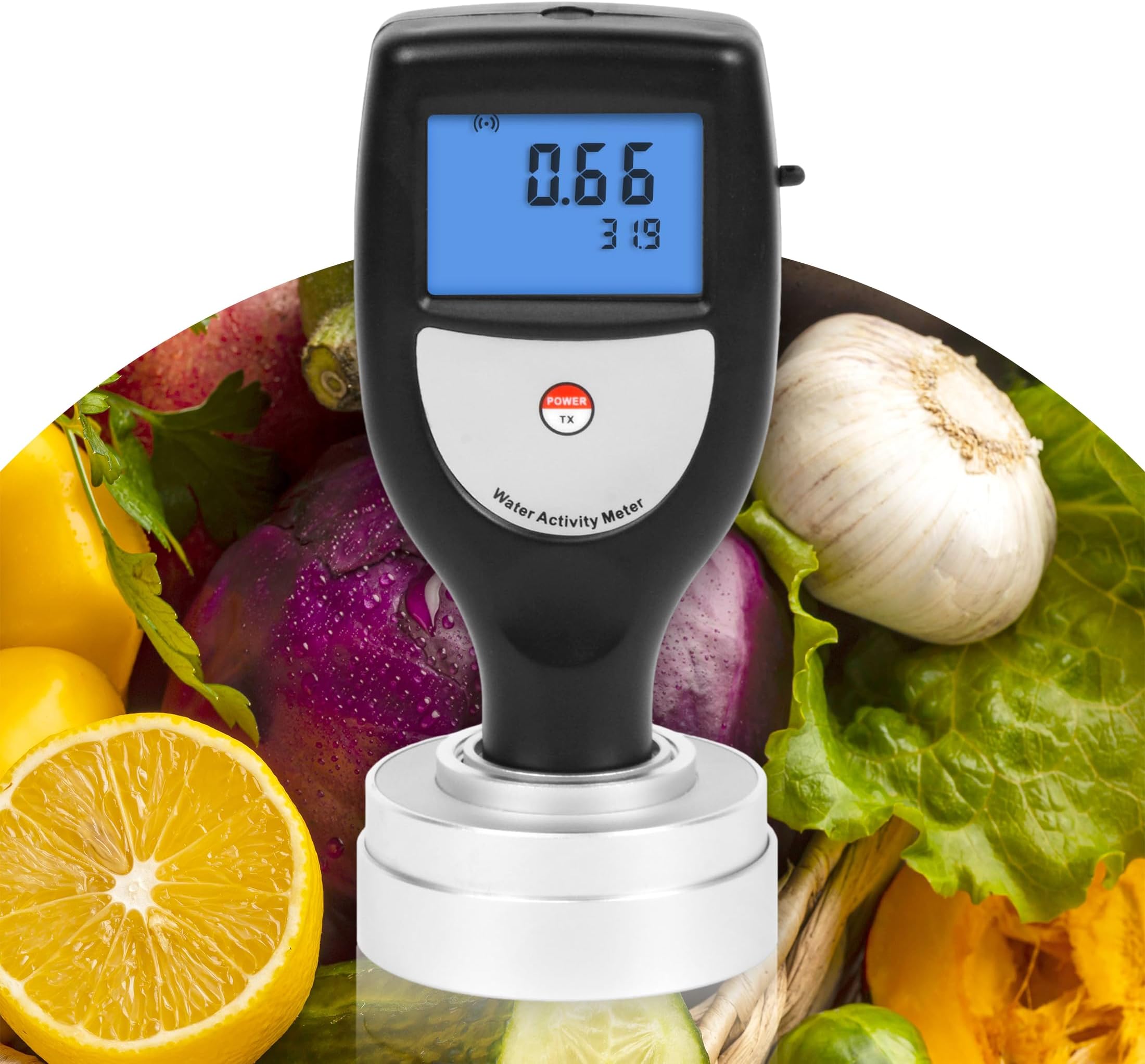 Water Activity Meter Portable Water Activity Tester with Software & USB Data Function Smart Food Water Activity Tester for Jerky Freeze Dried Food, Range 0~1.0aw (Model WA-60AS)