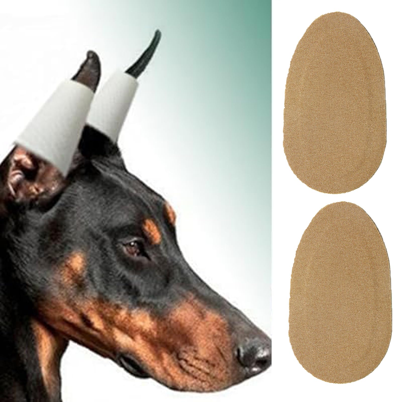 2Pcs Doberman Ear Standing Kit, Dog Ear Taping, Earlobe Support Patches Ideal for Doberman Pinschers, German Pinschers and Other Large Breeds-image-9