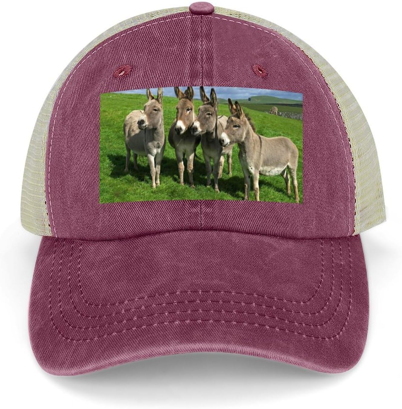 Donkey on Green Meadow Hat Personalized Adjustable Cowboy Cap Cotton Cap Trucker Hats Dad Hat for Men Women