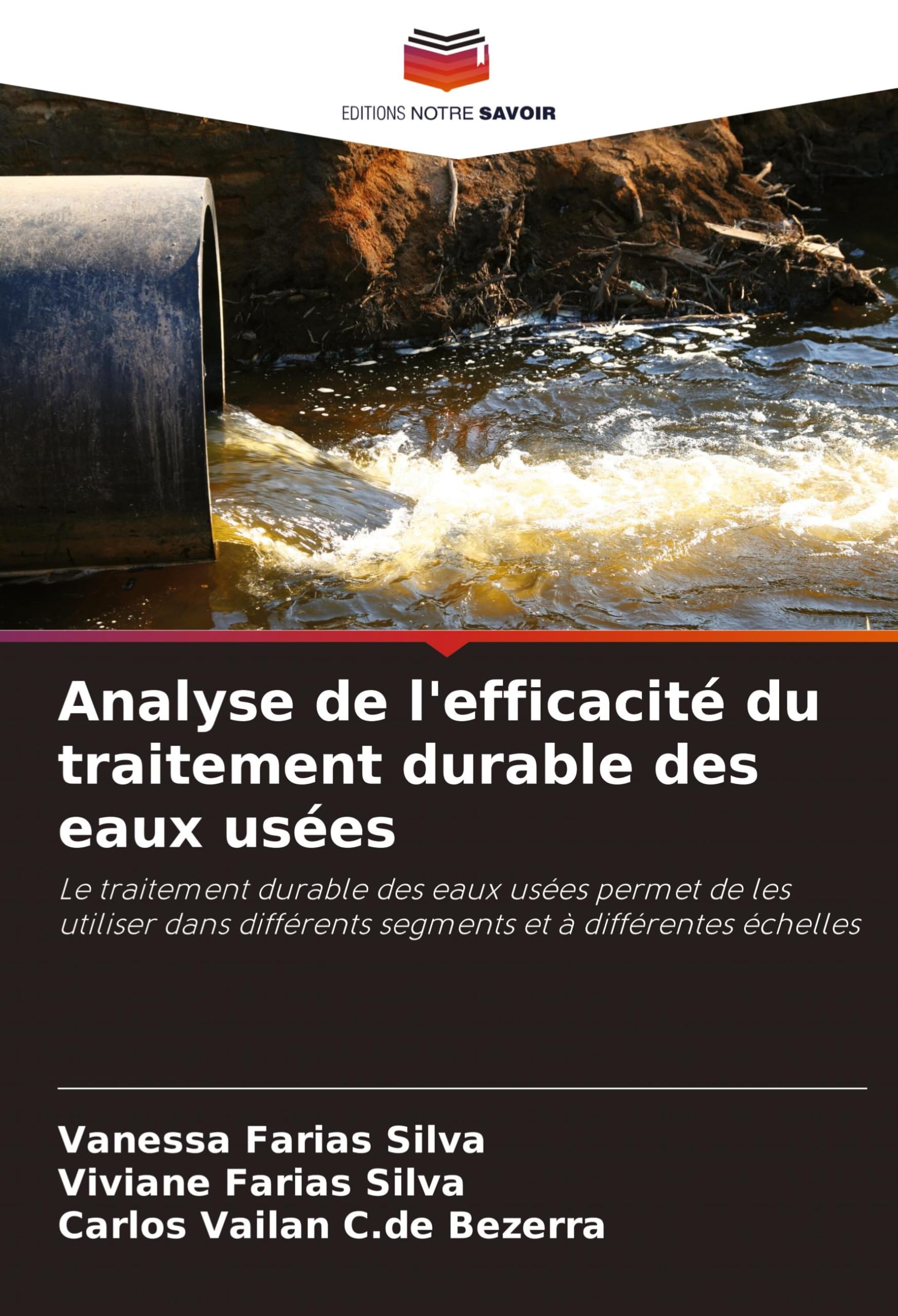 Analyse de l'efficacité du traitement durable des eaux usées: Le traitement durable des eaux usées permet de les utiliser dans différents segments et à différentes échelles
