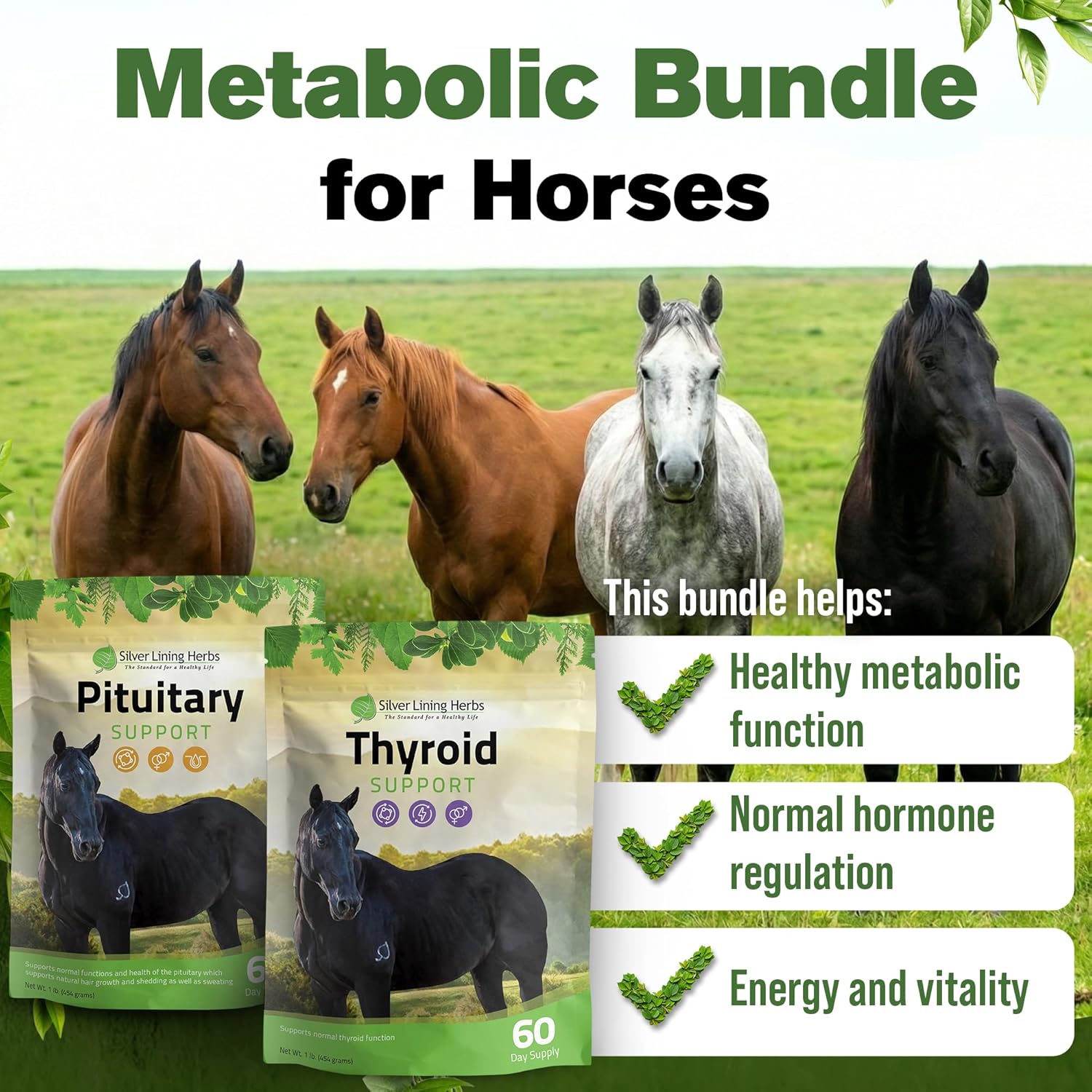 Silver Lining Herbs Metabolic Bundle for Horses – Thyroid & Pituitary Support for Insulin Resistance, Cushing’s/PPID, Weight & Hormone Balance - Formulated Specifically for Equine Metabolic Health