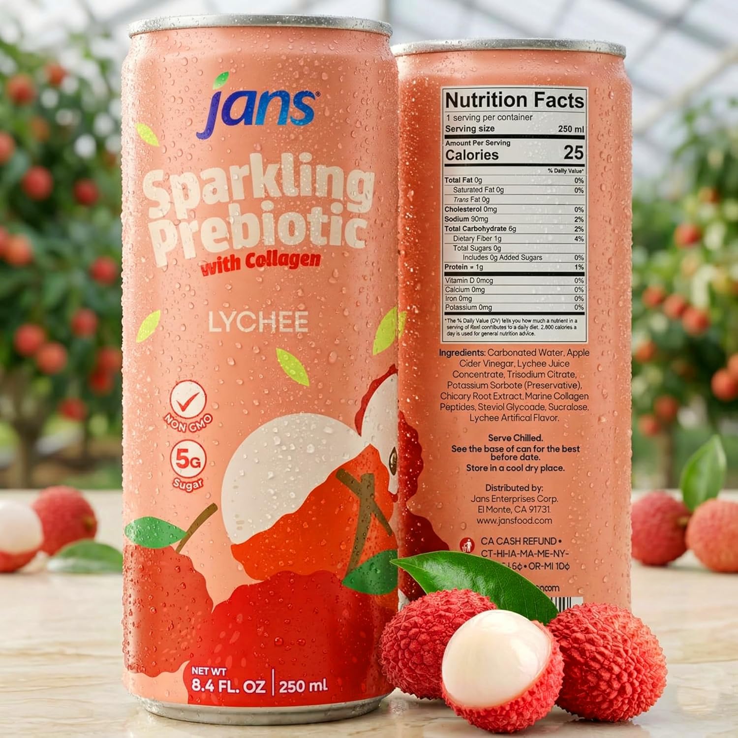 Jans Sparkling Prebiotic with Collagen Soda Beverage — Lychee 8.4 Fl Oz (24-Pack) – Low Calorie, NO Added Sugar, Non-GMO Sparkling Fruit Beverage, Gut Health Support