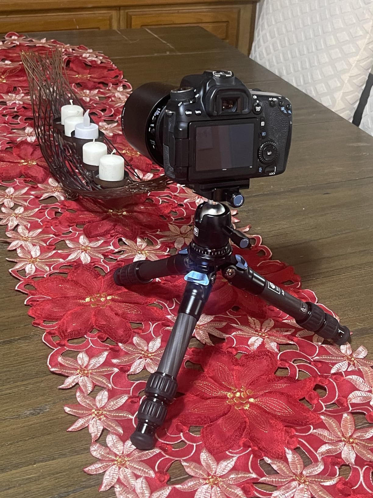 This little guy is a Rock Star!!!!