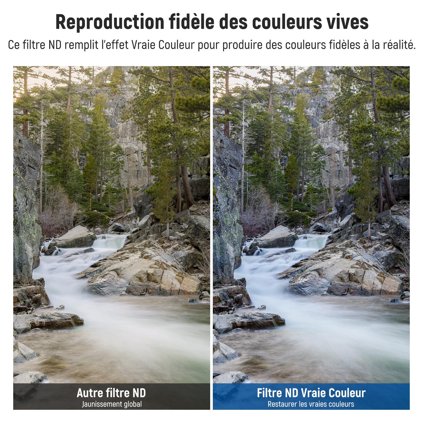 NEEWER 62mm True Colors Filtre ND2-ND32 et CPL Variable 2 en 1, Densité Neutre Réglable, Filtre Polarisant Circulaire, Verre Optique HD Multicouche/Cadre en Aluminium/Hydrofuge/Résistant aux Rayures