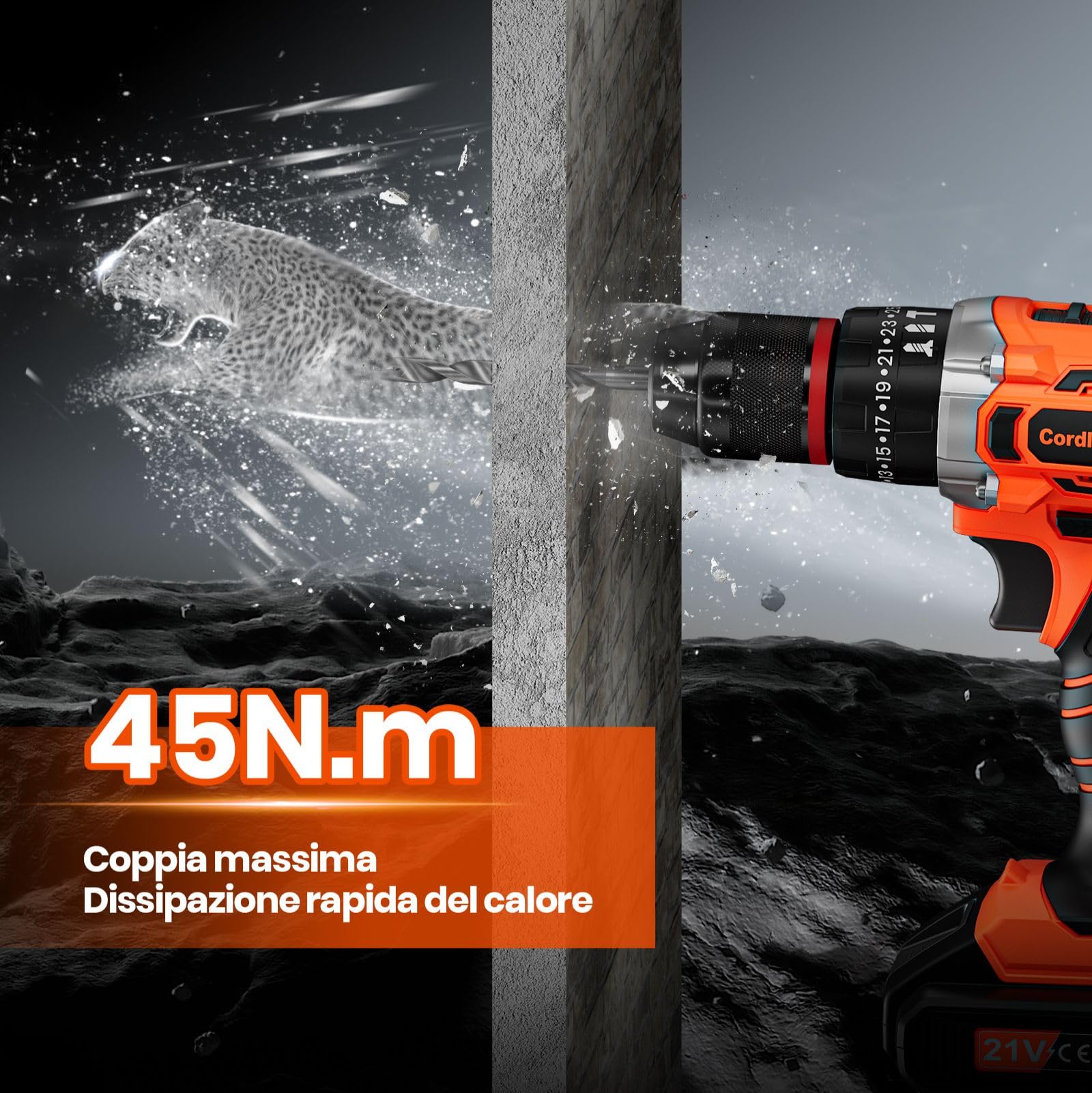 Trapano a Percussione 21V, Avvitatore a Batteria con 2 Batterie 2,0Ah, Trapano Avvitatore Batteria Coppia Massima di 45Nm, 2 Velocità, 25+3 Coppia, 10mm Morsa, Set di Accessori 29 Pezzi con Valigetta