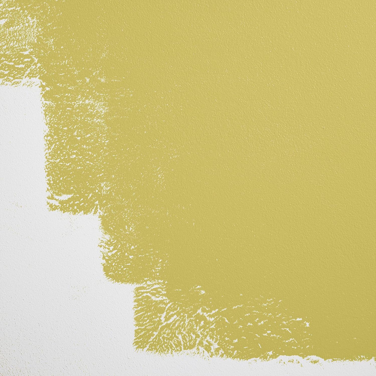 BACKDROP | Premium Exterior Paint | Standard Semi Matte, Low Sheen Finish | Self-Priming, Low VOC, Green Wise Certified | STARDUST - Yellow With A Hint Of Green | 0.5 Gallon