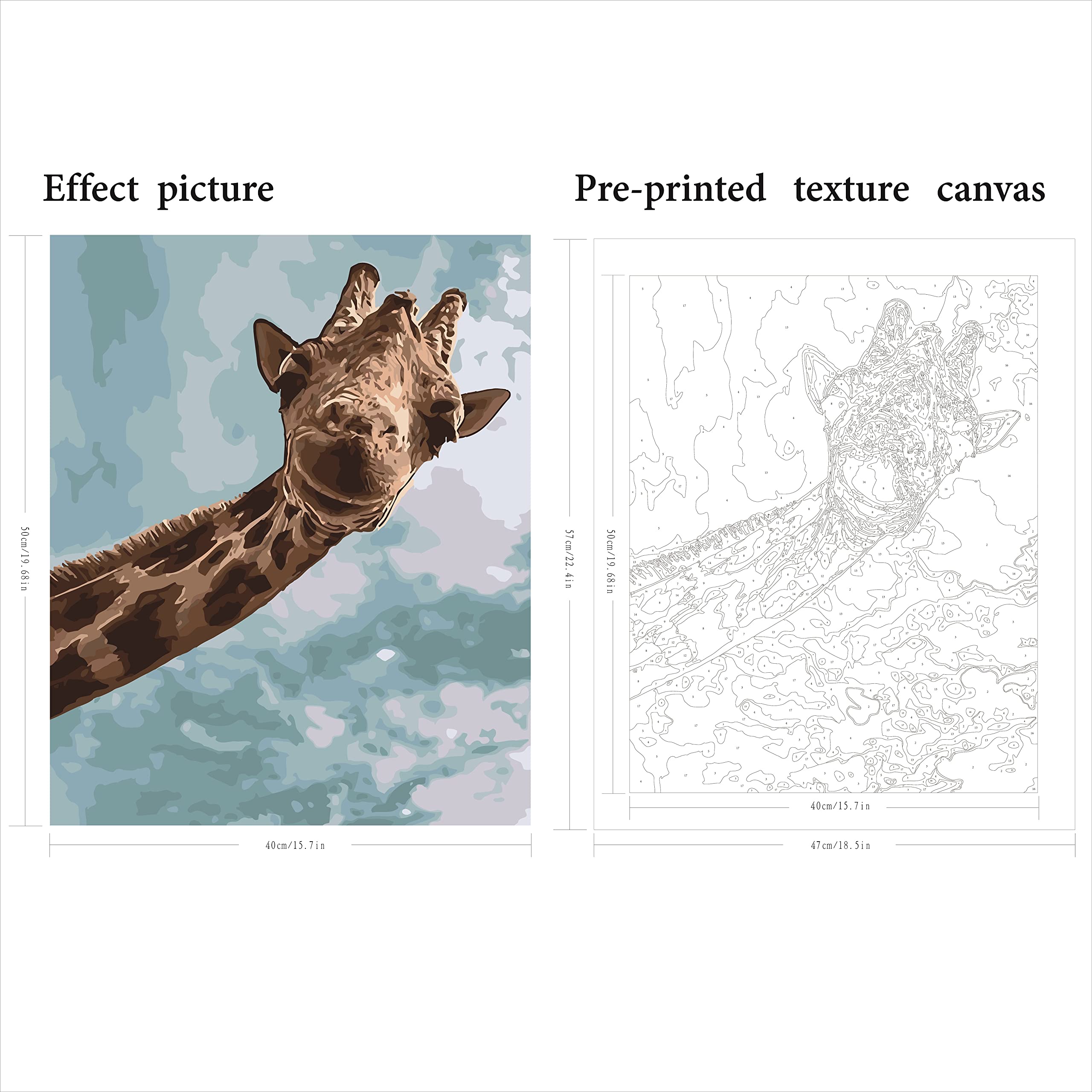 HEIBAGO Kit De Pintura Enmarcada Por Números Para Adultos, Pintura Por