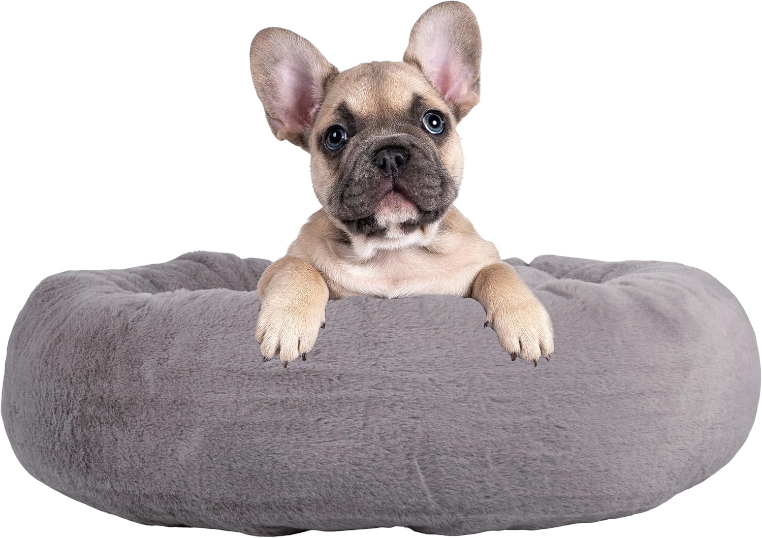 Small Gray Orthopedic Elevated Donut Dog Bed