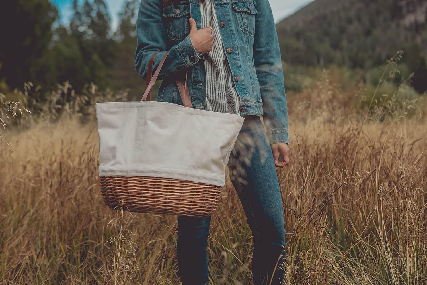 PICNIC TIME - Promenade Picnic Basket for 2 - Picnic Set with Canvas Tote Bag, (Beige Canvas) : Patio, Lawn & Garden