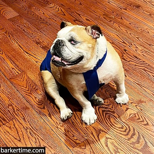 Miniatura 7 de Royal Blue - Pañal impermeable prémium para perro, a prueba de escapes, XL, con orificio para la cola, fabricado en Estados Unidos