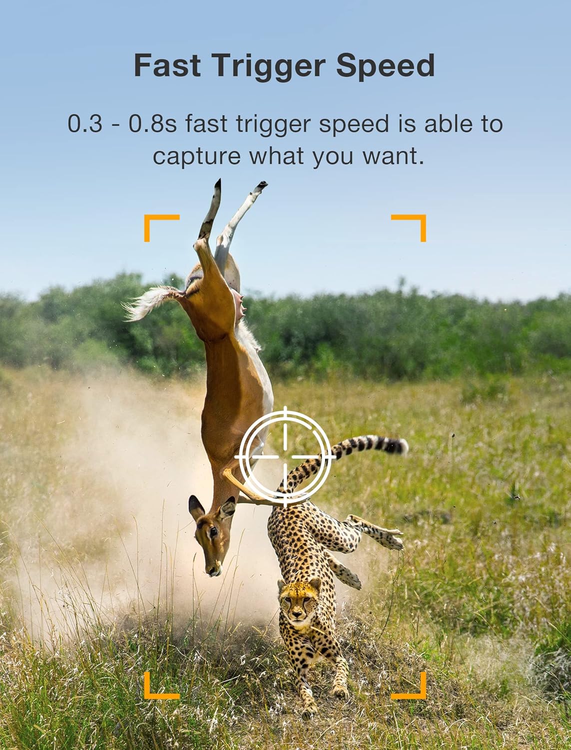2 Pack Trail Camera - Game Camera 36MP 2K Motion Activated Trail Cam Scouting Hunting Cam Wildlife with 2.0 LCD Screen 120° Wide Angle Lens Night Vision Waterproof IP66