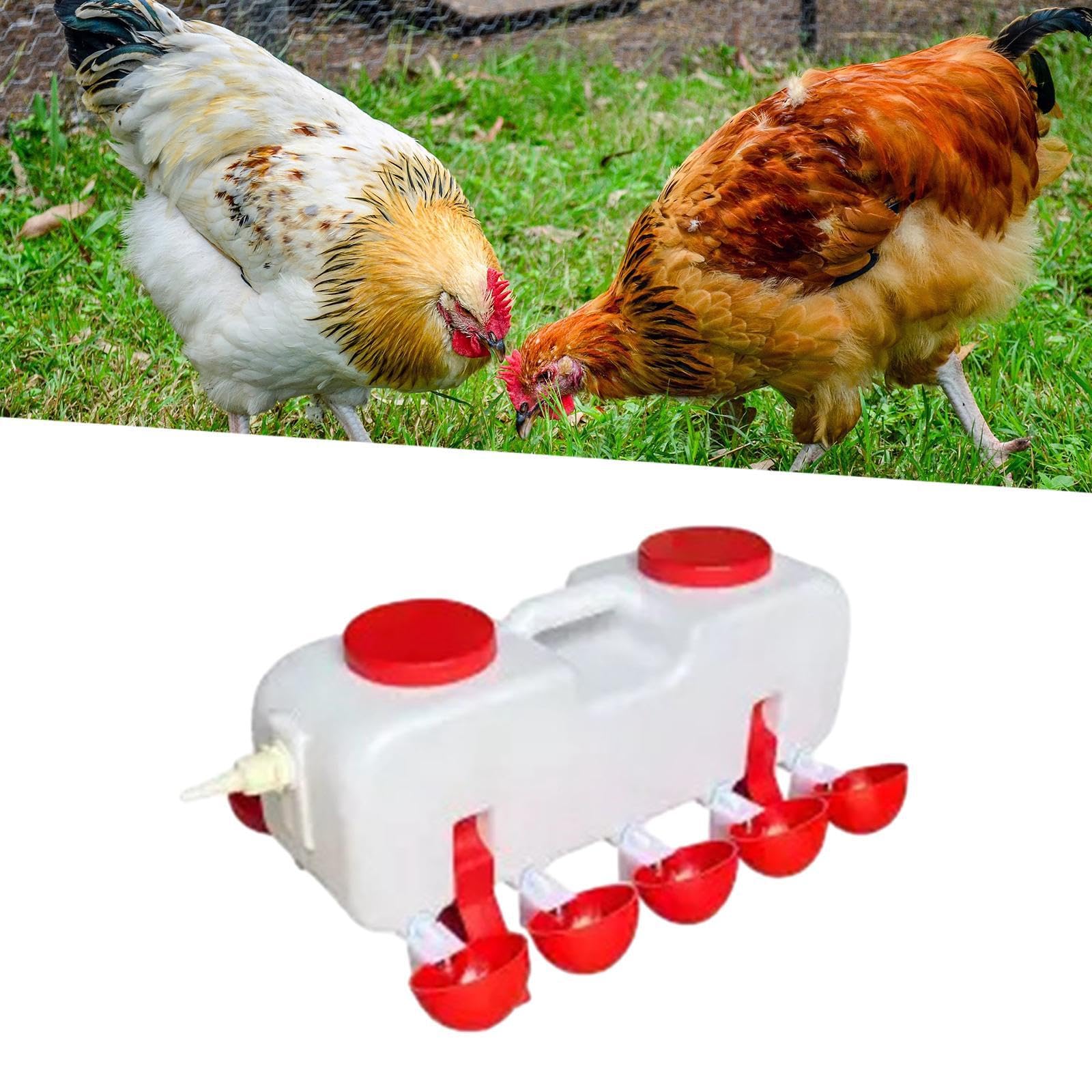Soluzioni per abbeveratoi per pollame facili da, automatico, l | idratazione a polli e anatre. Lunga durata. Abbeveratoio per polli, mangiatoia per , abbeveratoio.