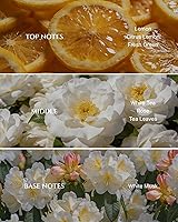 Vista 2 de Aromadd White Tea Diffuser Oil Inspired by Luxury Hotel Scent, Essential Oils for Waterless Diffuser, White Tea & Bergamot, Long-Lasting & Natural