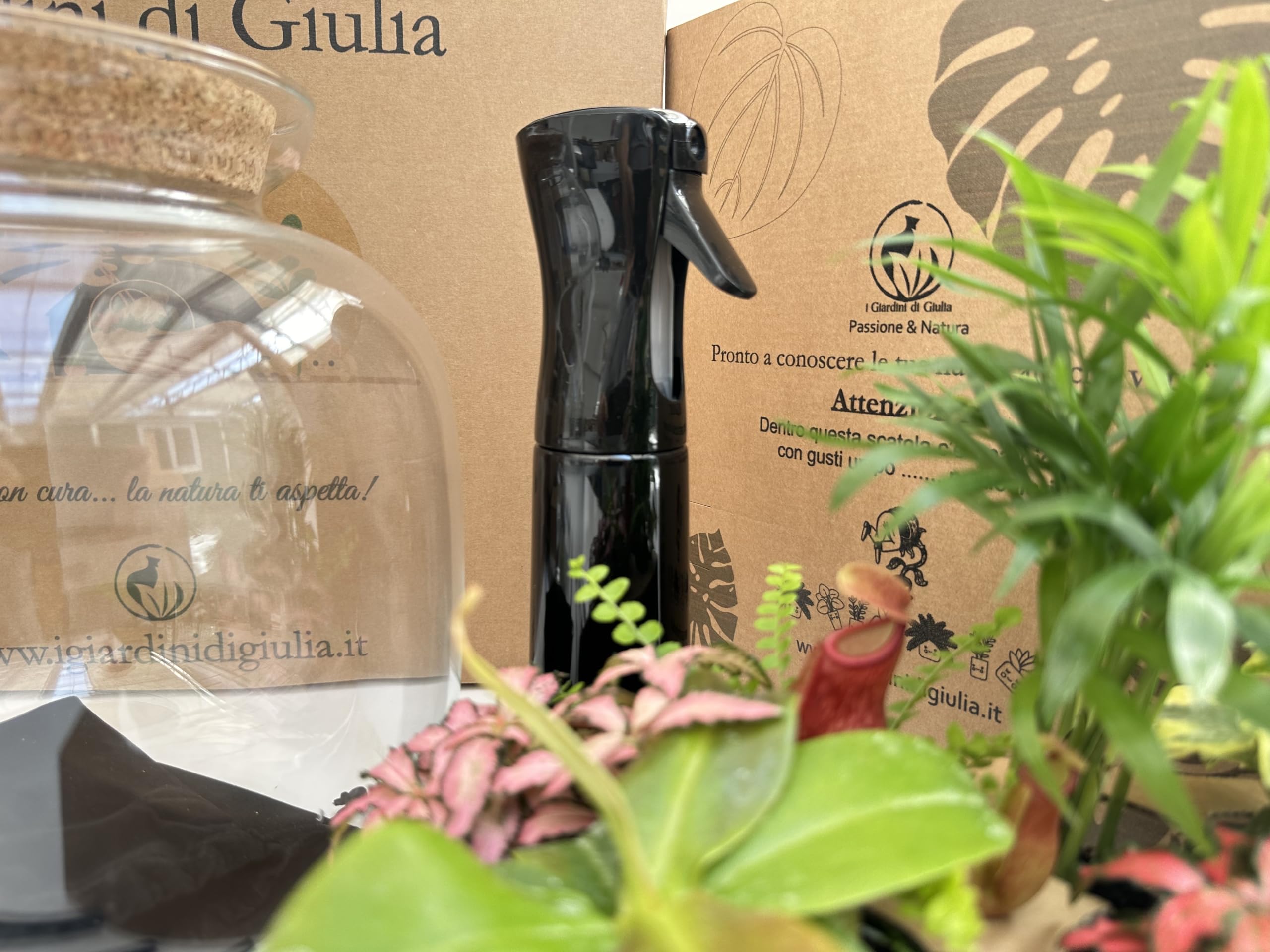 Kit Terrarium Fai Da Te Master: Contenitore in Vetro, 26 cm Circonferenza, 27 cm Altezza, Tappo in Sughero