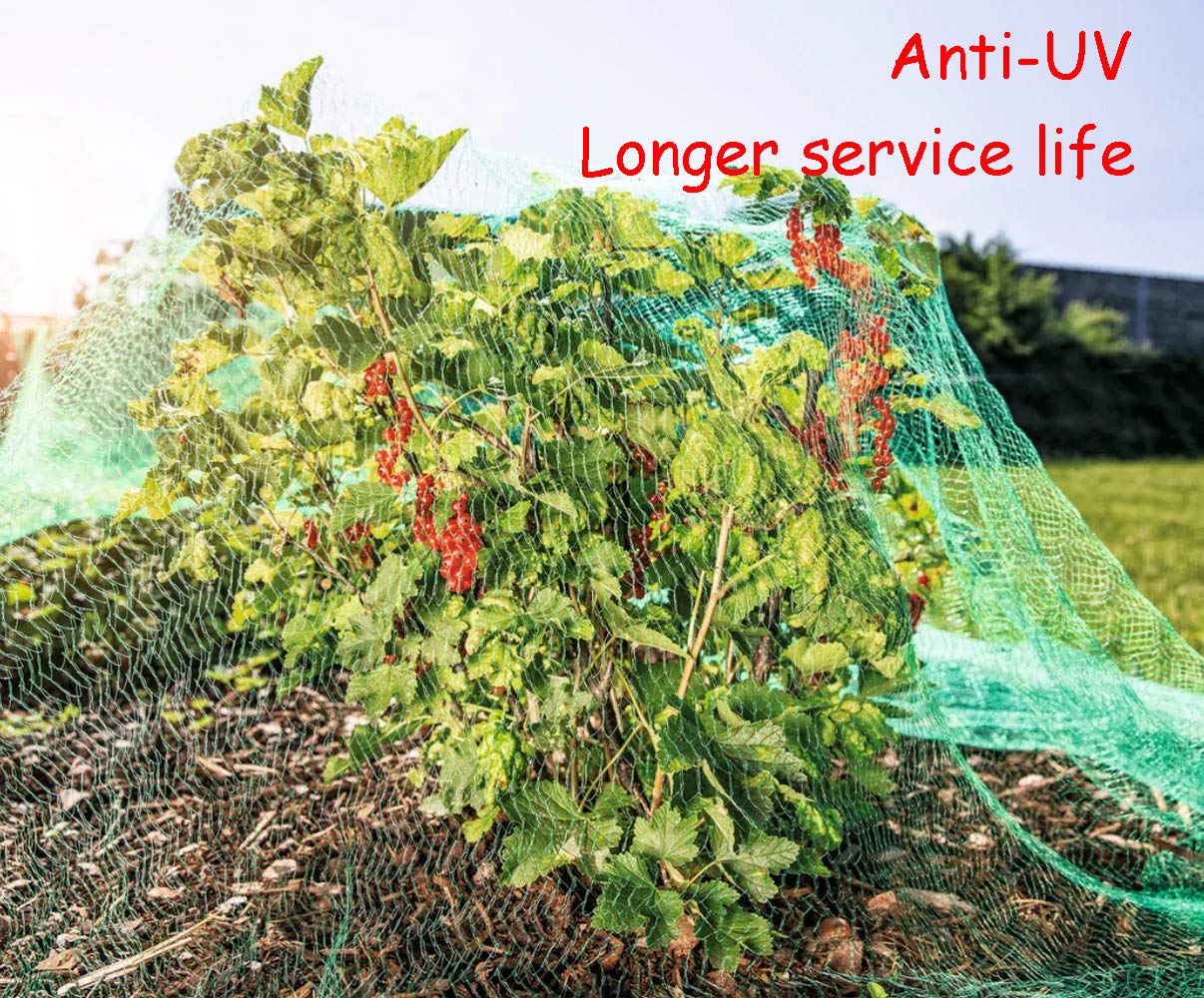 Rete Per Laghetto 5x6 Metri - Maglia 20x20mm, Protezione Uccelli E Fogliame, Nero