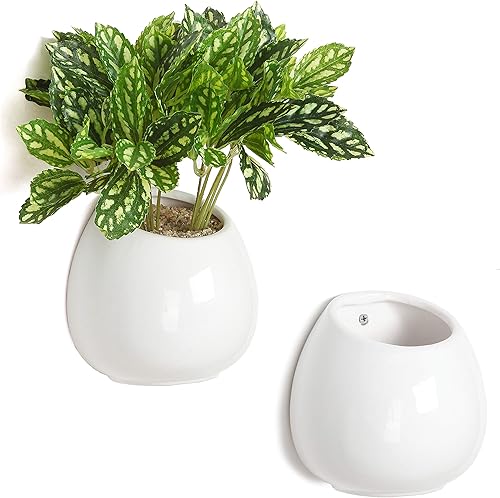 MyGift Jarrón de cerámica blanca de 6 pulgadas, para colgar o de escritorio, suculenta cadena de perlas, cactus para interiores, juego de 2 disponible en Yaxa Guatemala
