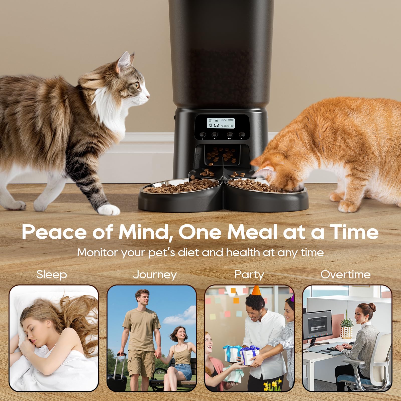 Petrice Comedero automático para gatos para 2 gatos, dispensador de alimentos secos para gatos con temporizador de 6 L, hasta 6 comidas y 30 porciones por día, grabación de voz de 10 segundos