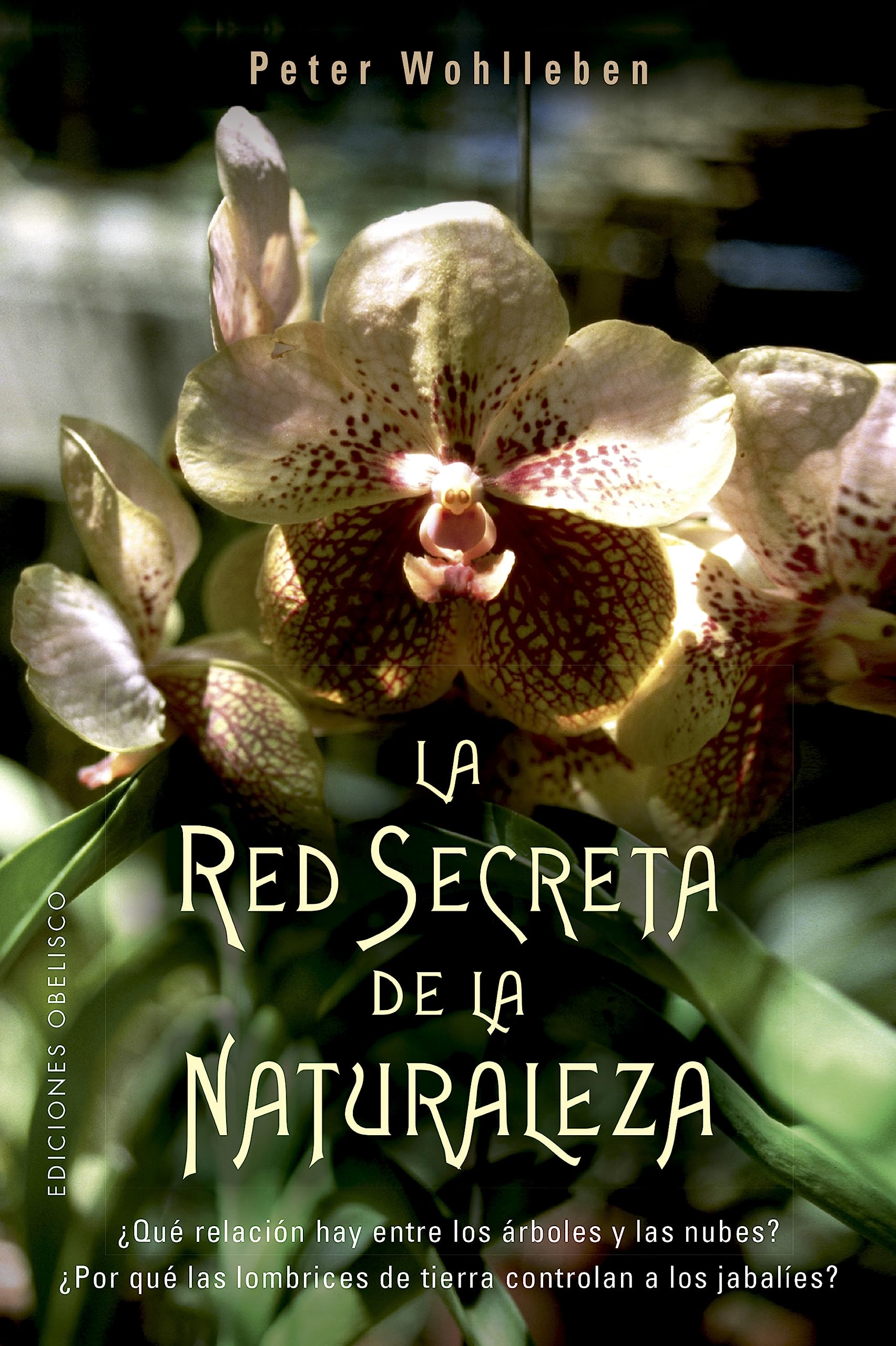La red secreta de la naturaleza (Spanish Edition)
