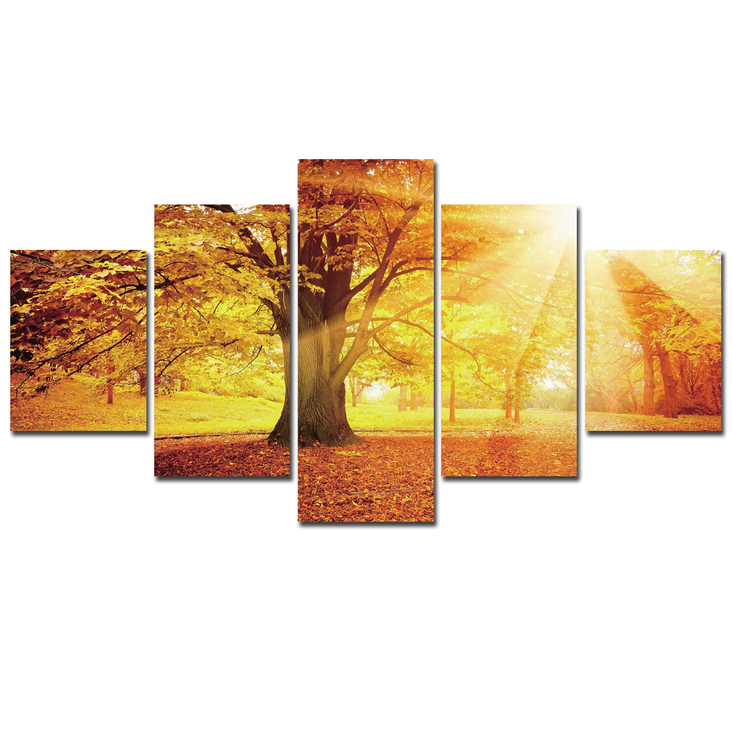 Framed Wall Art Canvas Painting 5 Piece Landscape Golden Tree