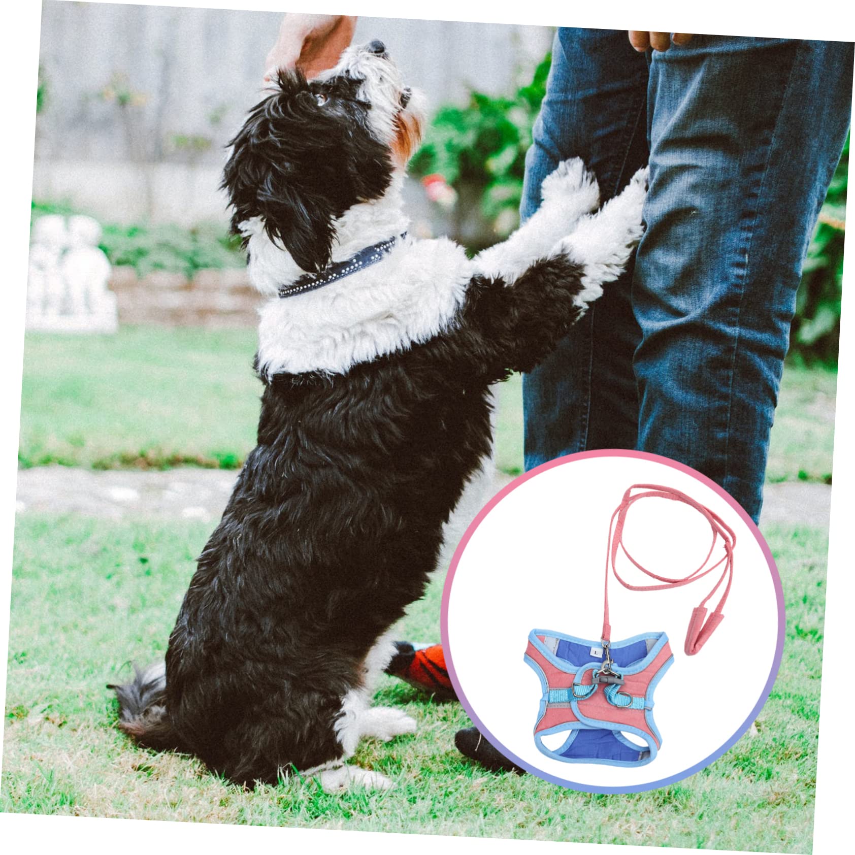 FRCOLOR 3stücke Reflektierendes Hundegeschirr Mit Leine Verstellbare Weste Für Katzen Und Kleine Hunde Bequem Und Atmungsaktiv Für Im Freien