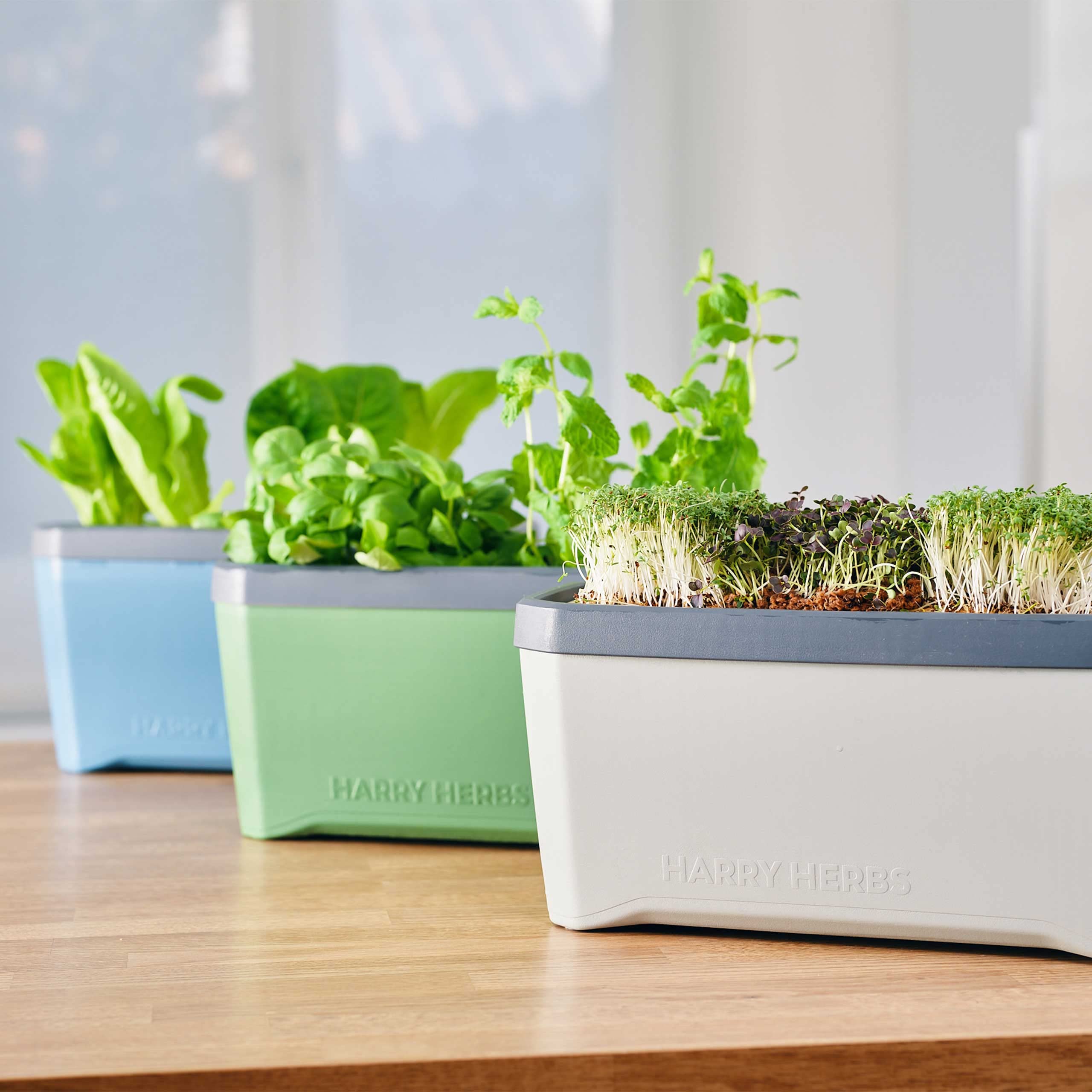 Gusta Garden Harry Herbs 4-w-1 doniczka na zioła ciemnozielona - doniczka do roślin - zdejmowana pokrywka i system samonawadniający - zbiornik na wodę 0,5L i pojemność na glebę 5L