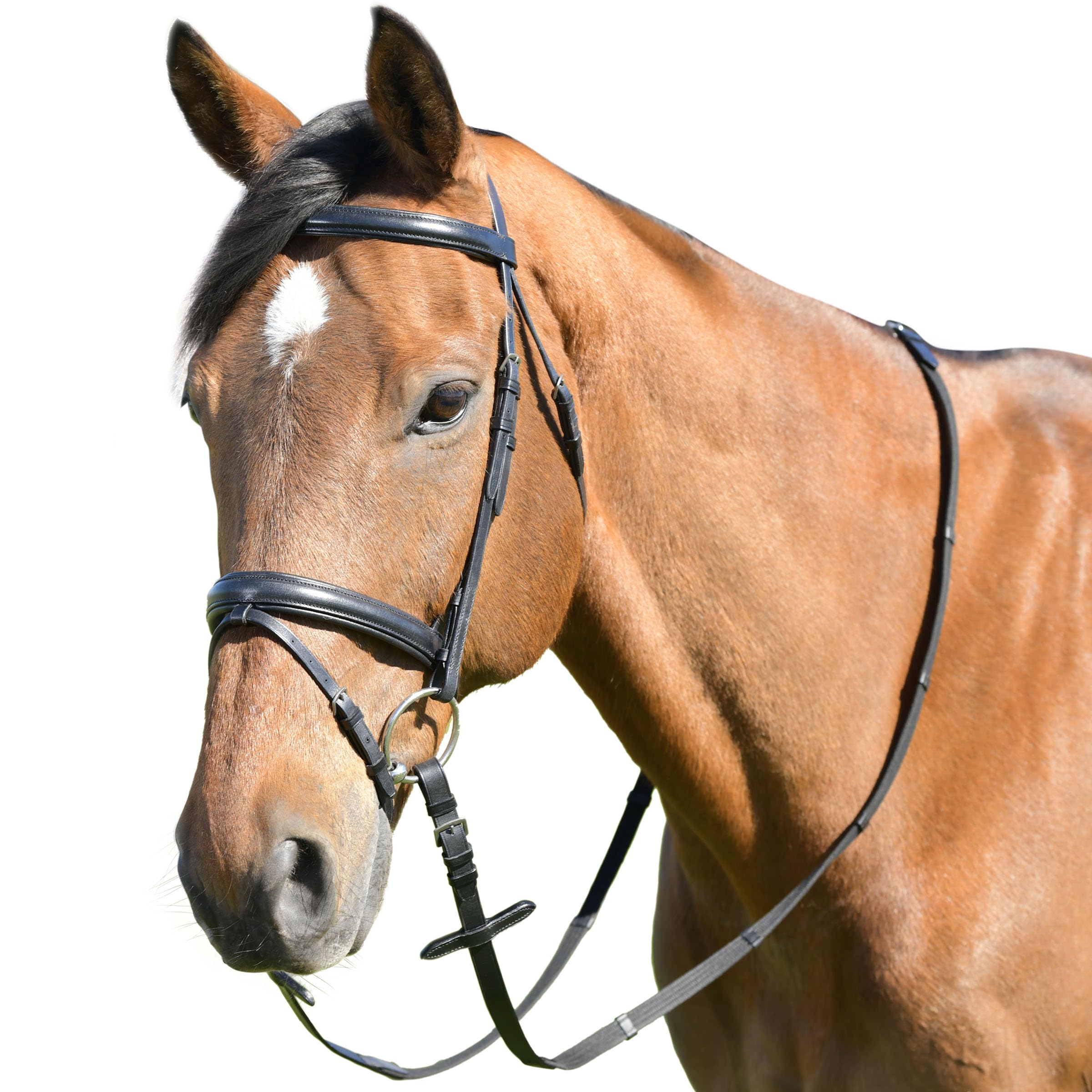 Kincade Classic Plain Raised Flash Bridle with Reins, Black, Pony