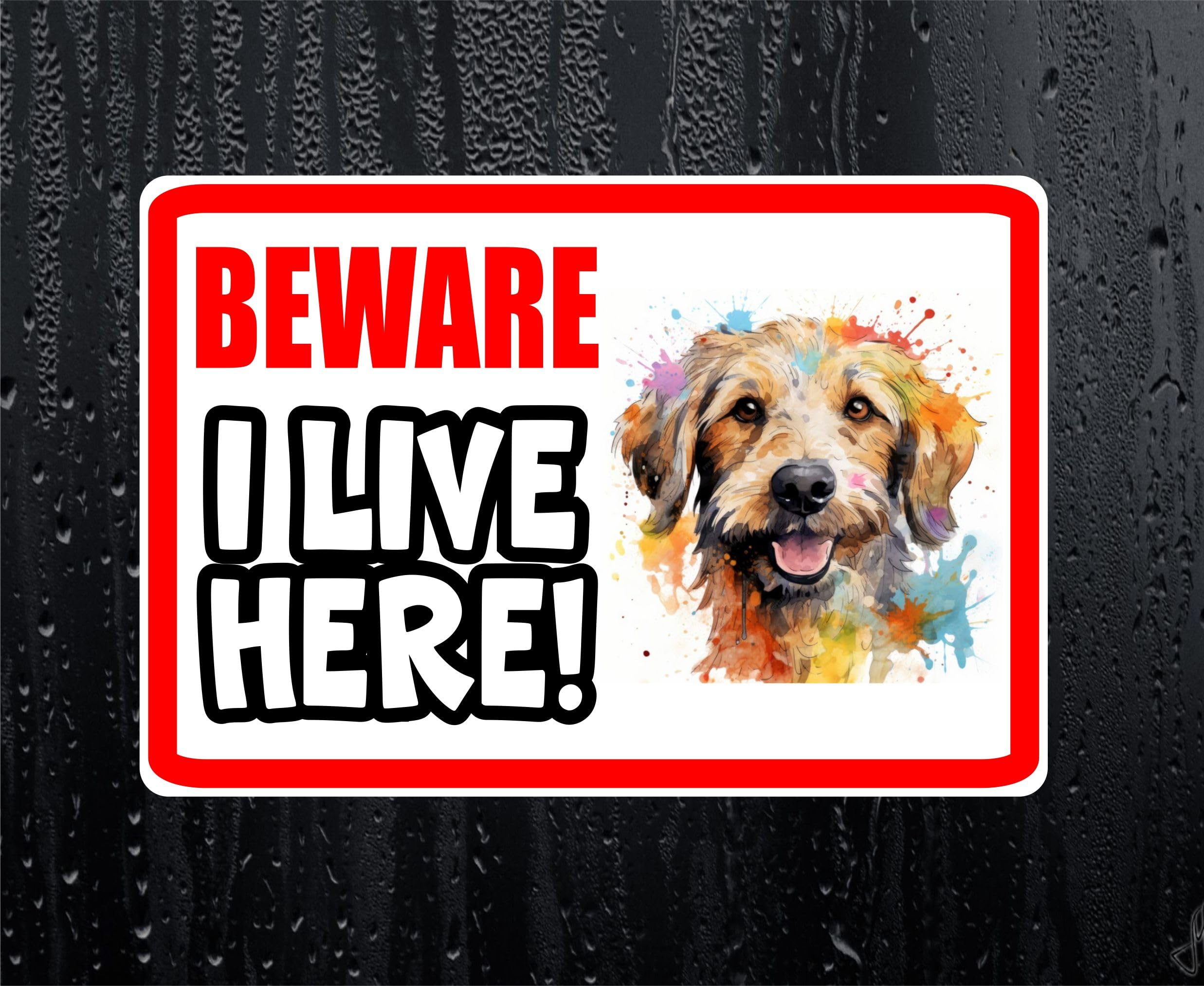 Decalarama White Labradoodle Sticker Beware I Live Here House Home Window Door Porch Decal