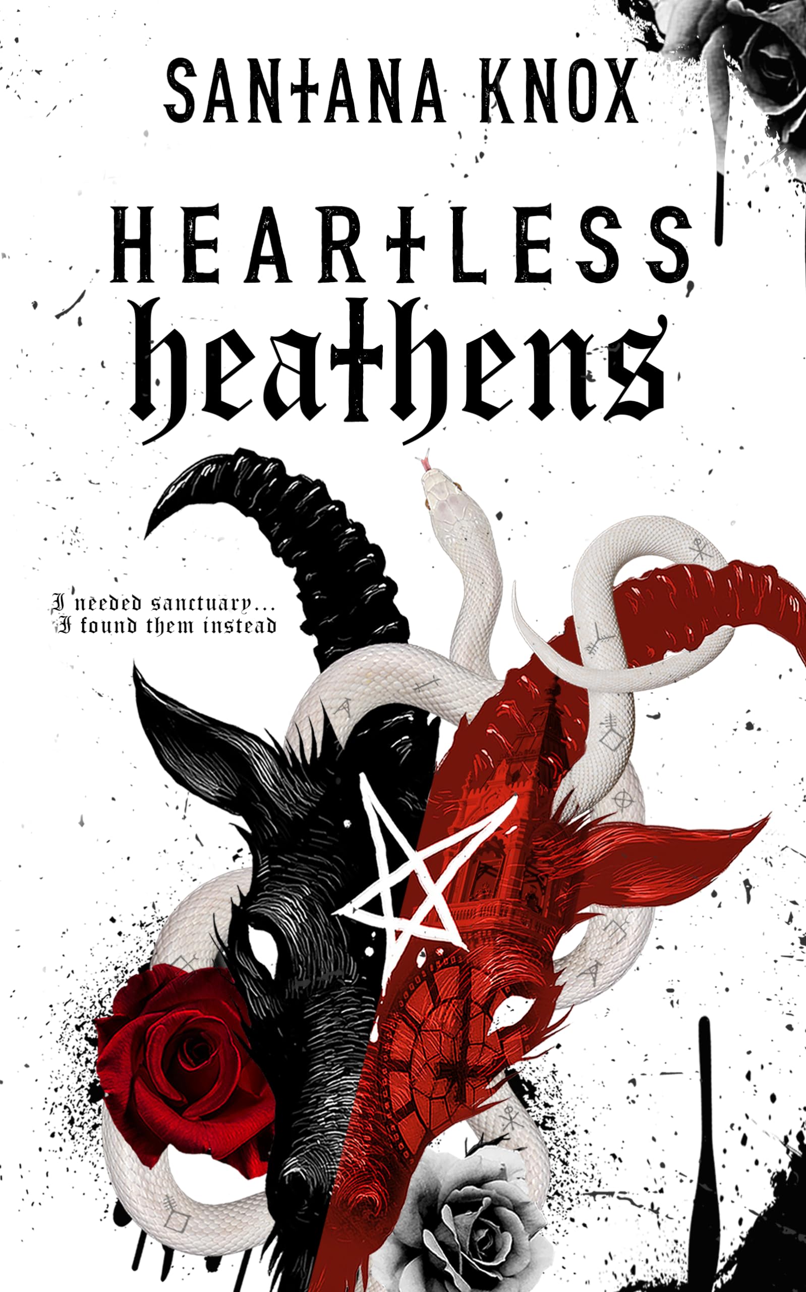 Heartless Heathens: A Why Choose Gothic Romance
