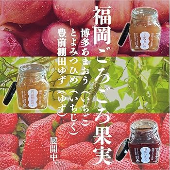 ごろごろ果物じゃむ¨̮⃝無添加 ごろごろ果物じゃむ¨̮⃝無添加 果肉ゴロゴロミックスジャム（無