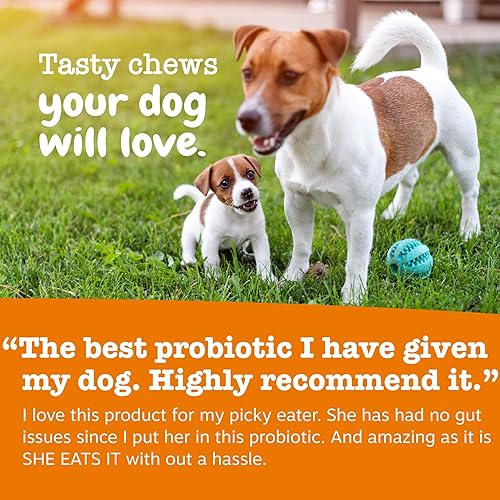 Miniatura 6 de Zesty Paws Probióticos para cachorros para perros, para la salud digestiva, la flora intestinal y el apoyo del sistema inmunológico, probióticos