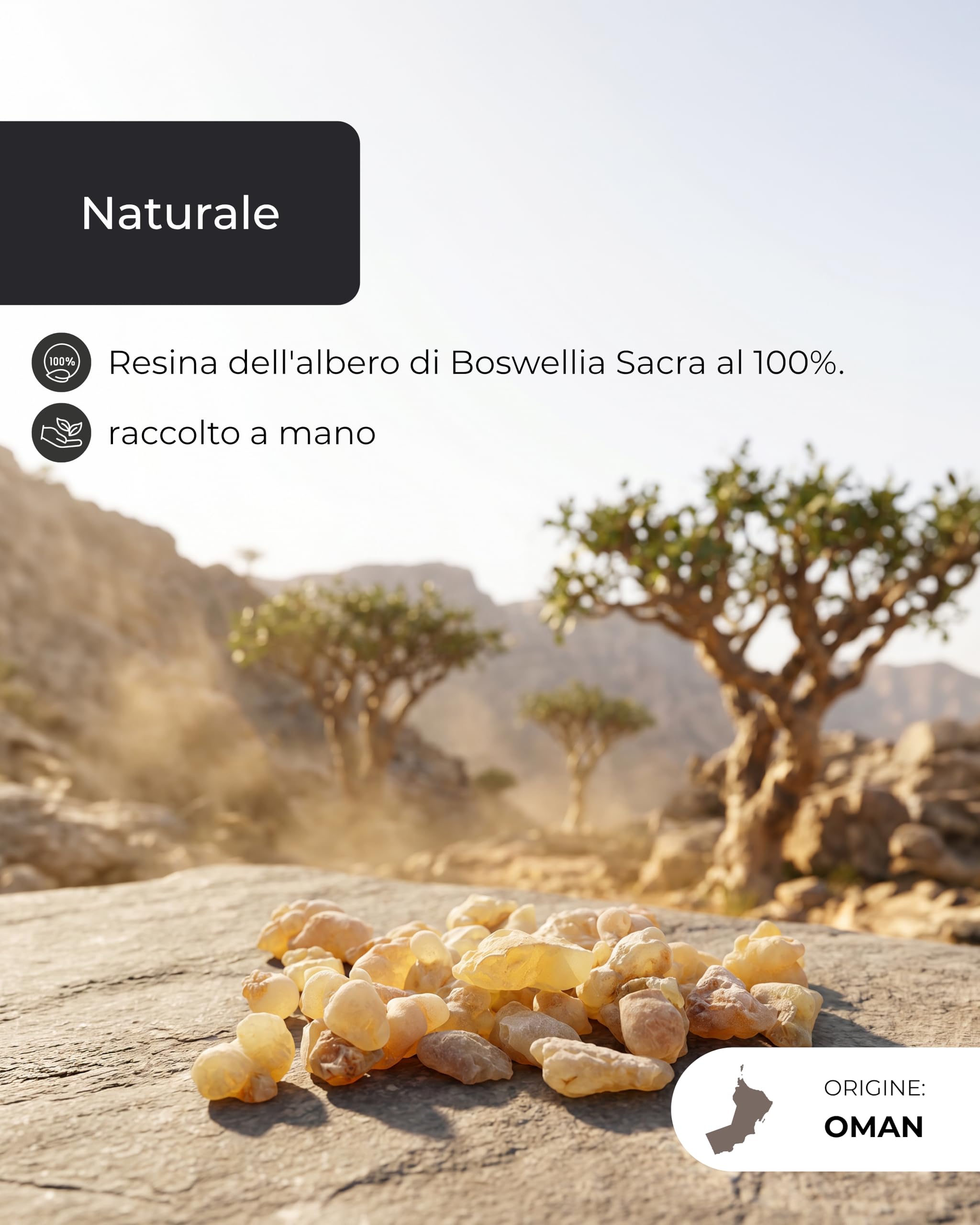 Incensera Incenso in Grani Naturale 250 g, Boswellia Sacra dall'Oman