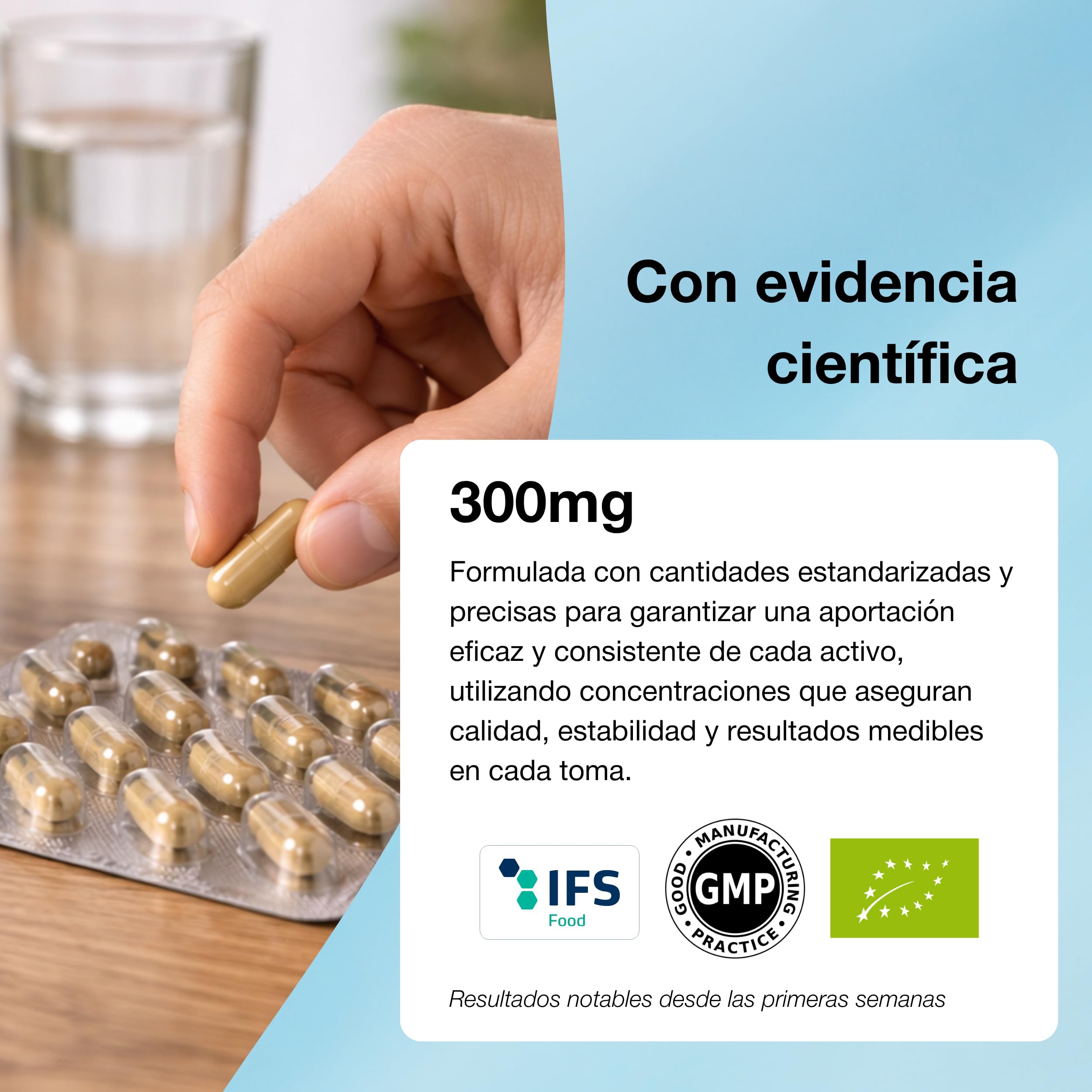 Pro Calm+ | Ashwagandha KSM-66 y Magnesio | 60 Cápsulas | Con Magnesio Bisglicinato Albion TRAACS, Rhodiola y vitaminas B6, B9, B12. Clean Label sin EGCG. Equilibrio emocional.