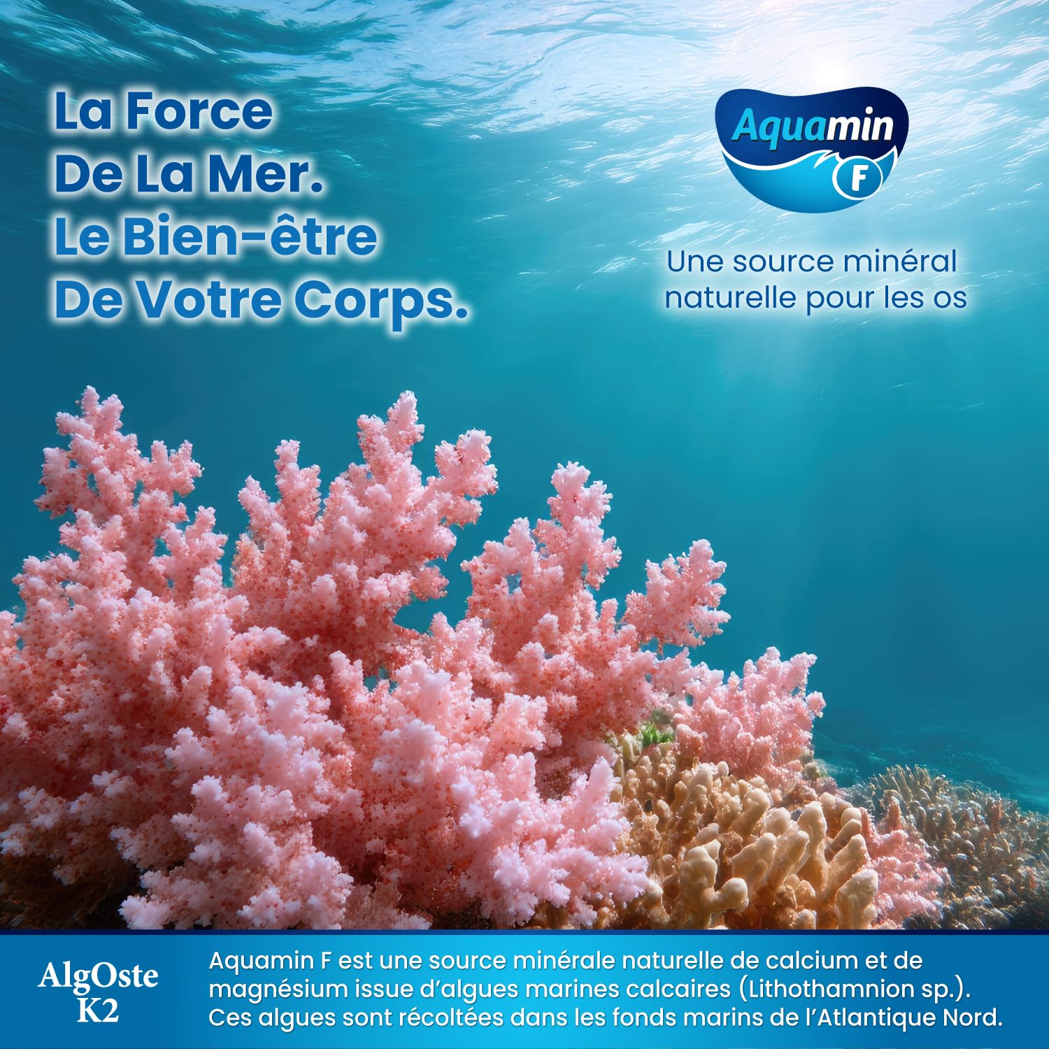 Algoste K2 | Complément alimentaire pour les os avec calcium de Lithothamnion (Aquamin F), vitamines K2 et D3, magnésium, vitamine C, zinc et bore | 180 comprimés (3 boîtes de 60)